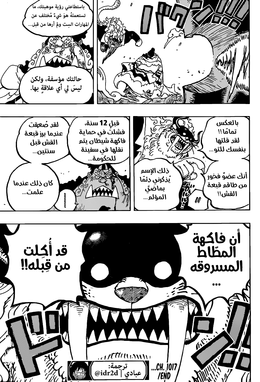 One Piece: Chapter 1017 - Page 17