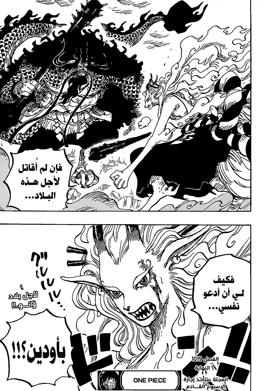 One Piece: Chapter 1019 - Page 18