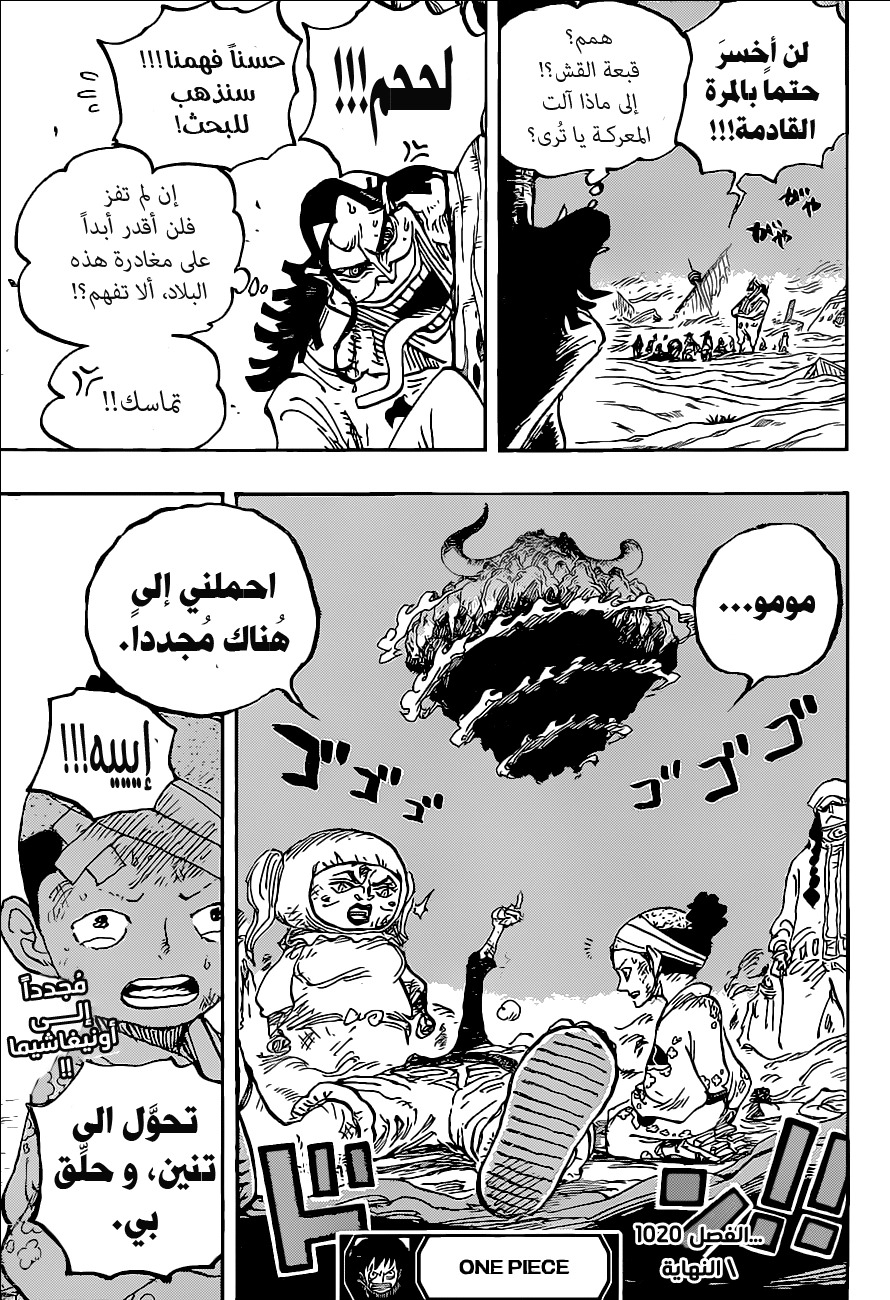 One Piece: Chapter 1020 - Page 17