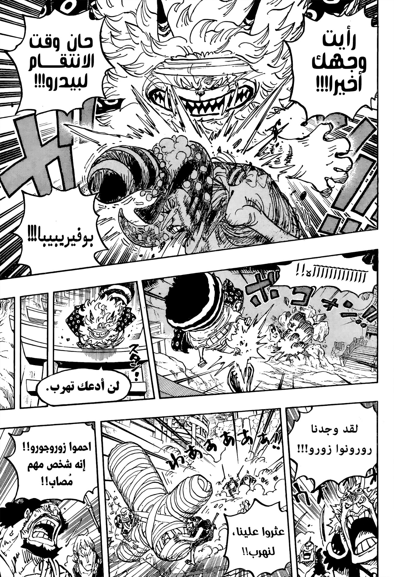 One Piece: Chapter 1022 - Page 13