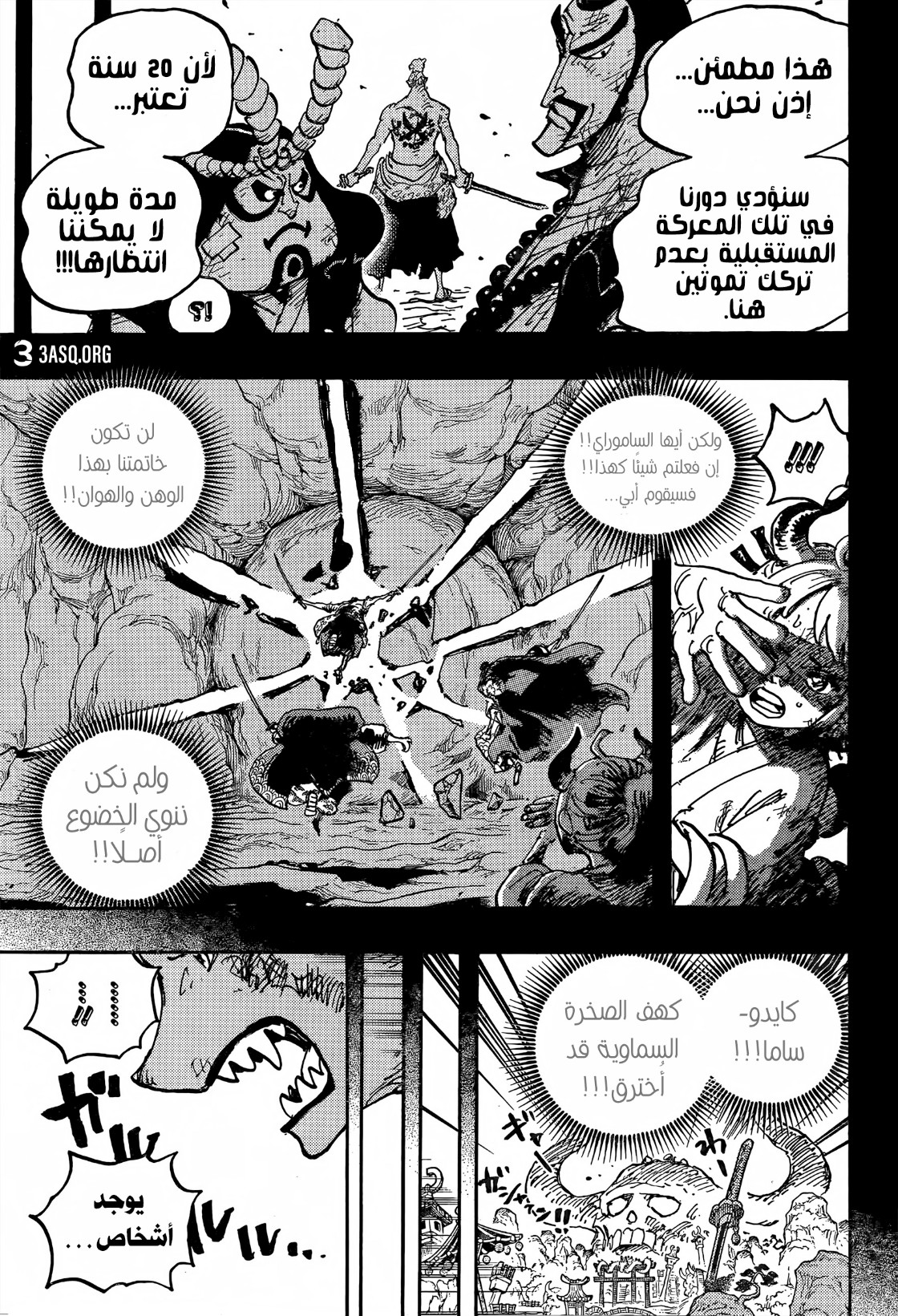 One Piece: Chapter 1024 - Page 21