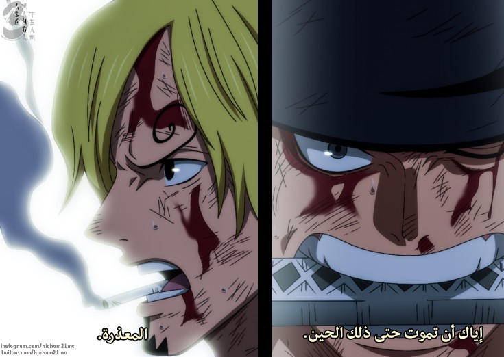 One Piece: Chapter 1031 - Page 19