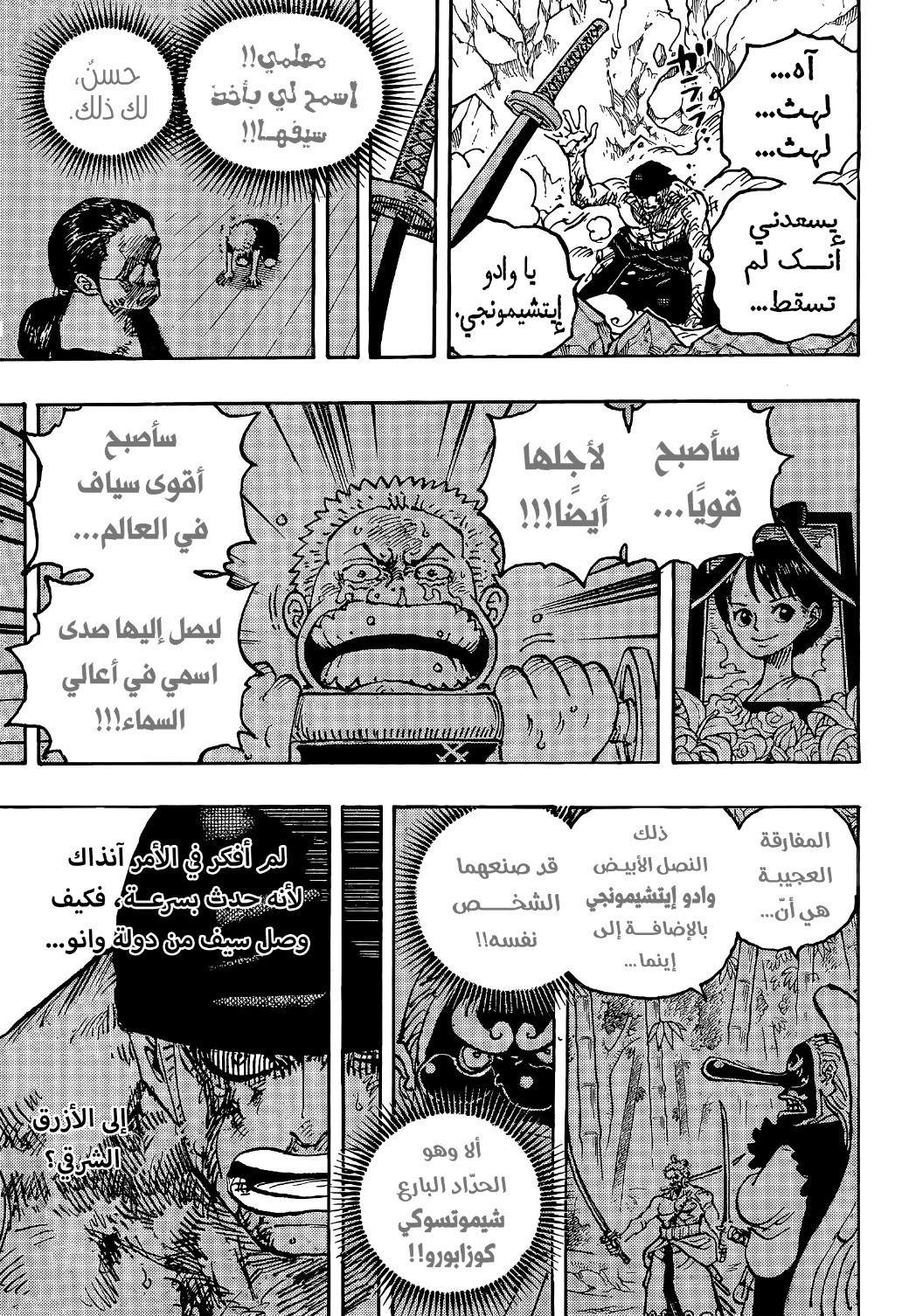 One Piece: Chapter 1033 - Page 10