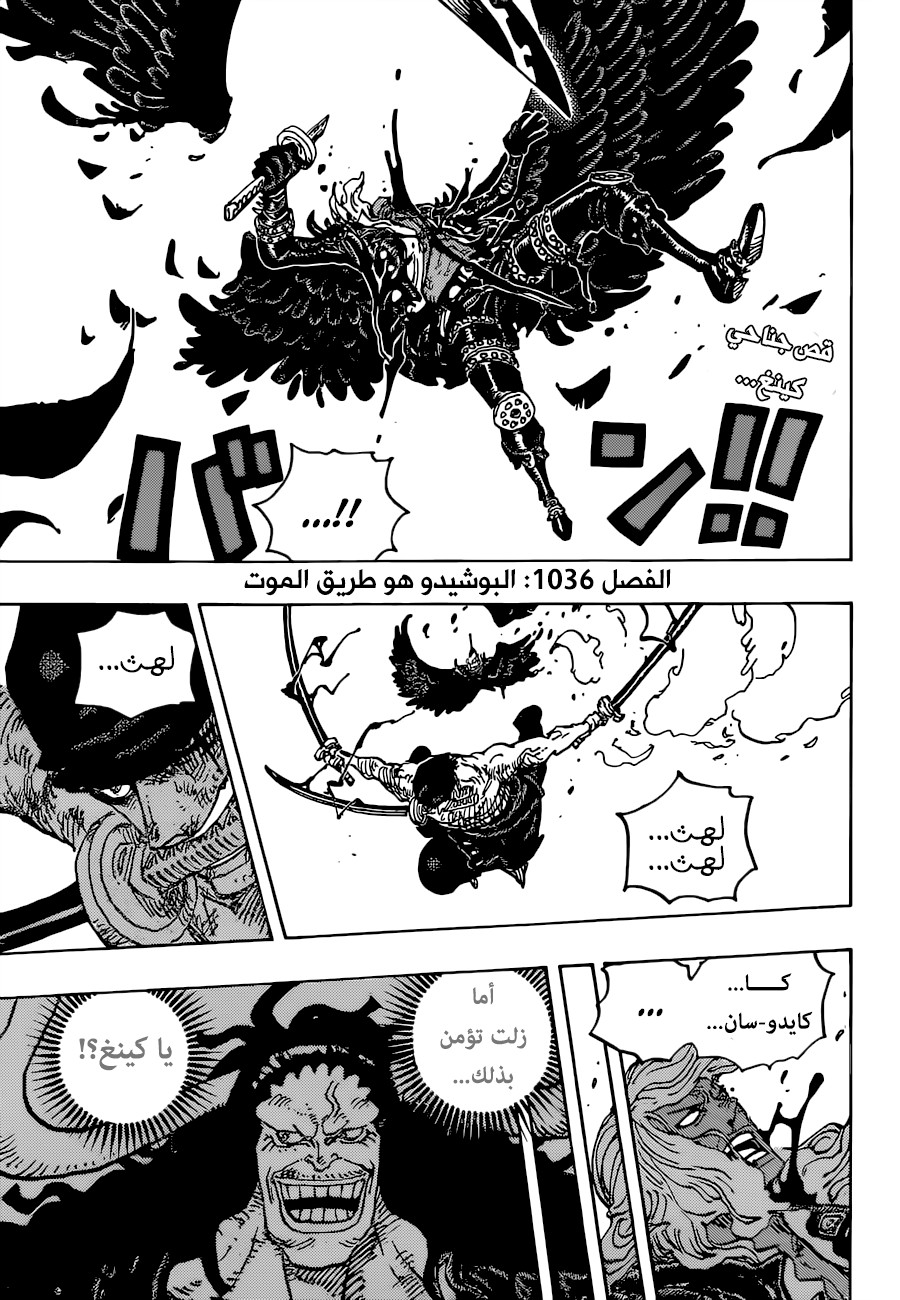 One Piece: Chapter 1036 - Page 3