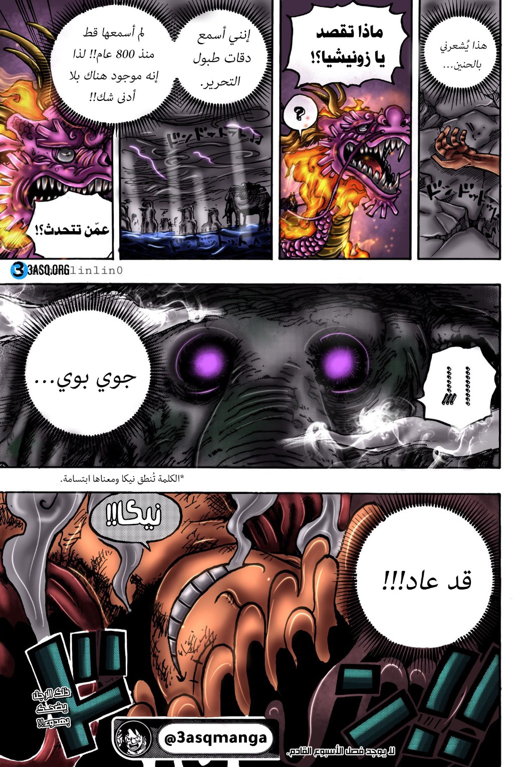 One Piece: Chapter 1043 - Page 17