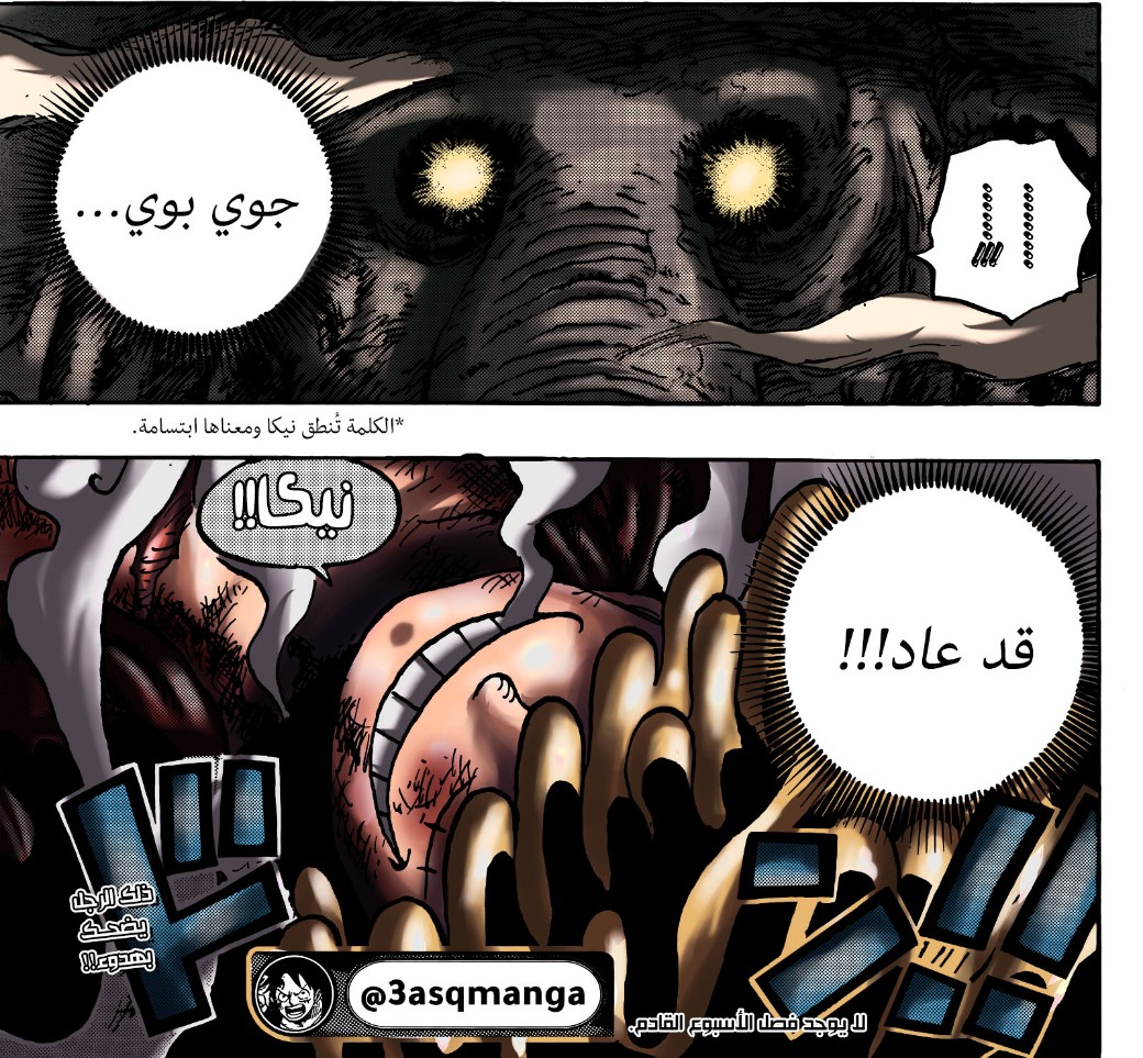 One Piece: Chapter 1043 - Page 19