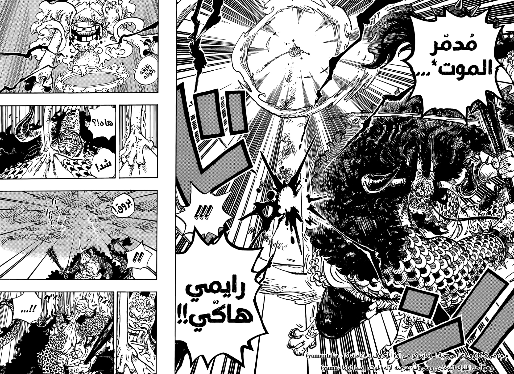 One Piece: Chapter 1047 - Page 9