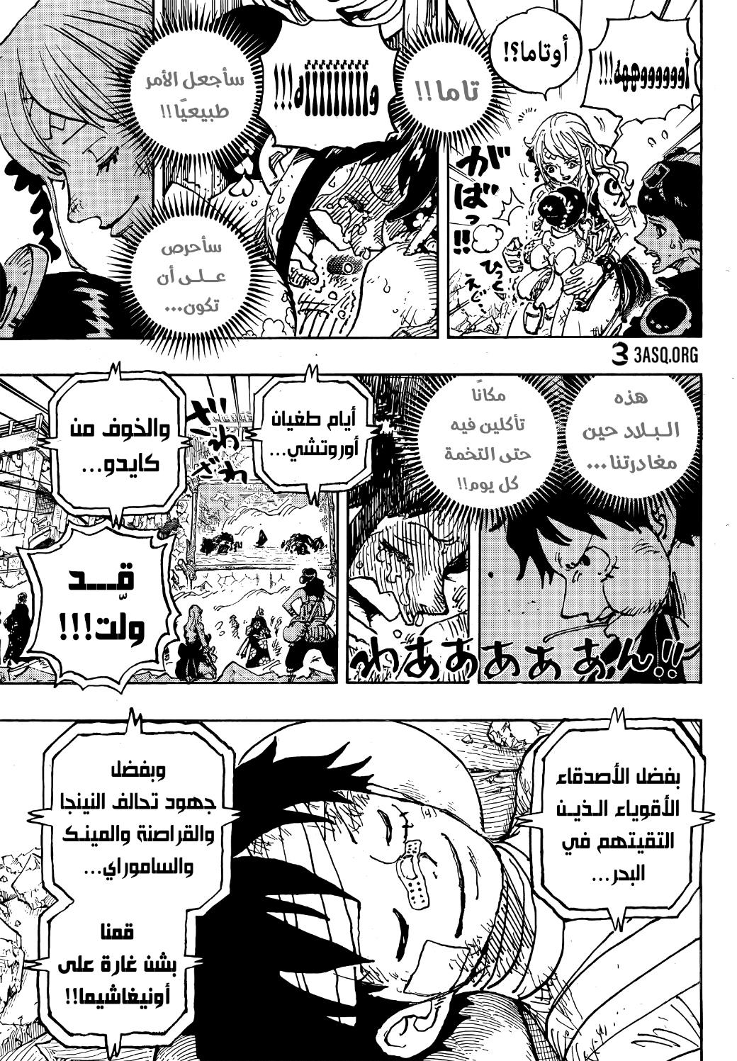 One Piece: Chapter 1051 - Page 11