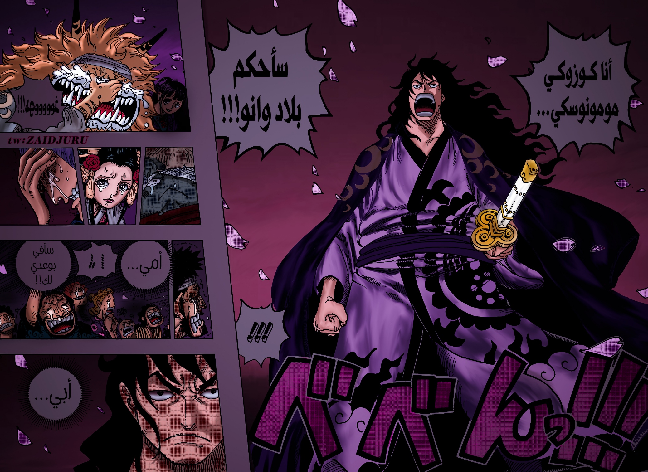 One Piece: Chapter 1051 - Page 17