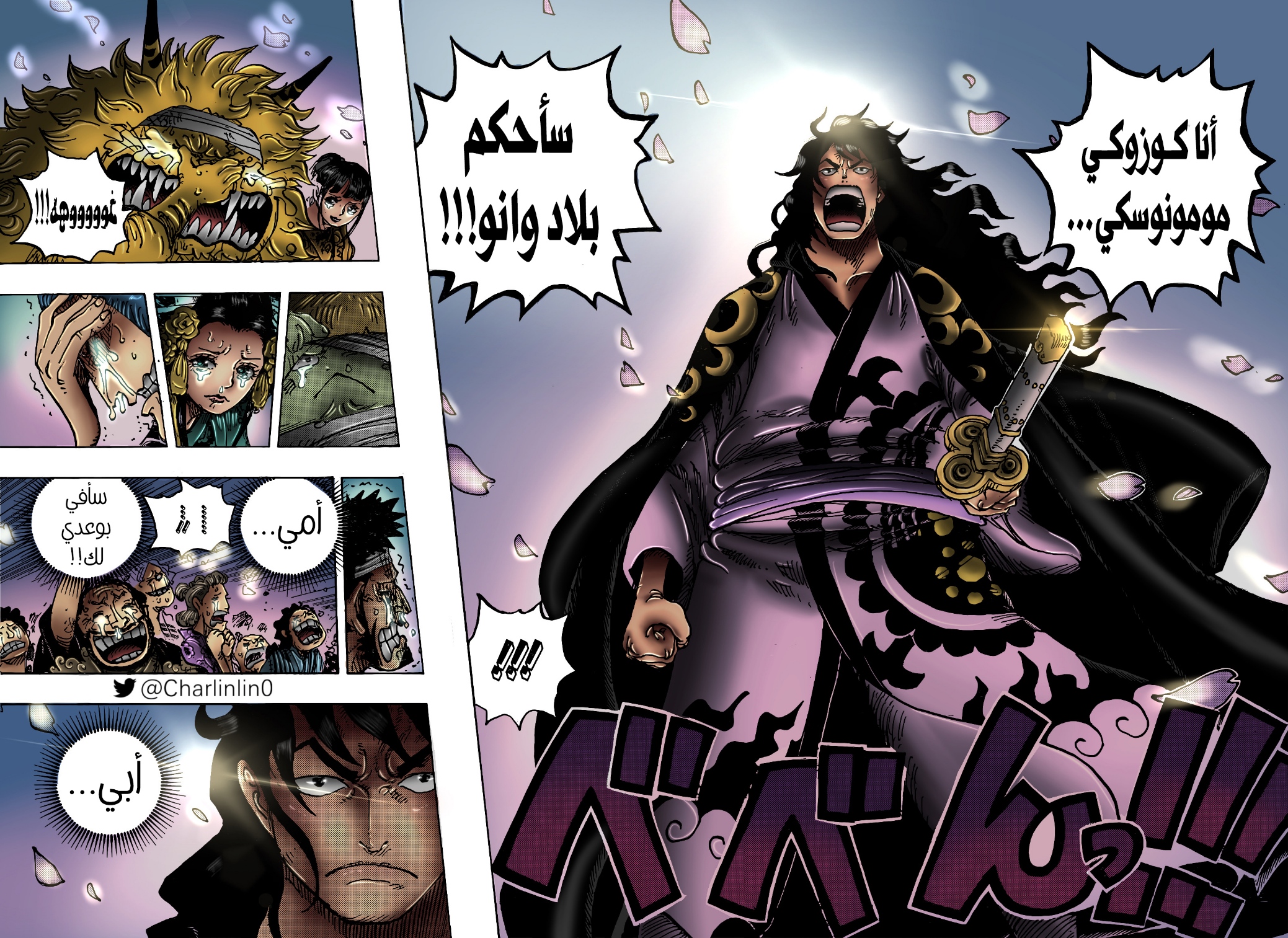 One Piece: Chapter 1051 - Page 18