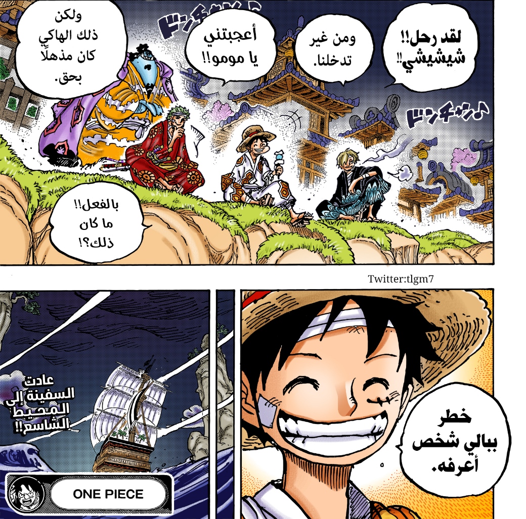 One Piece: Chapter 1055 - Page 22