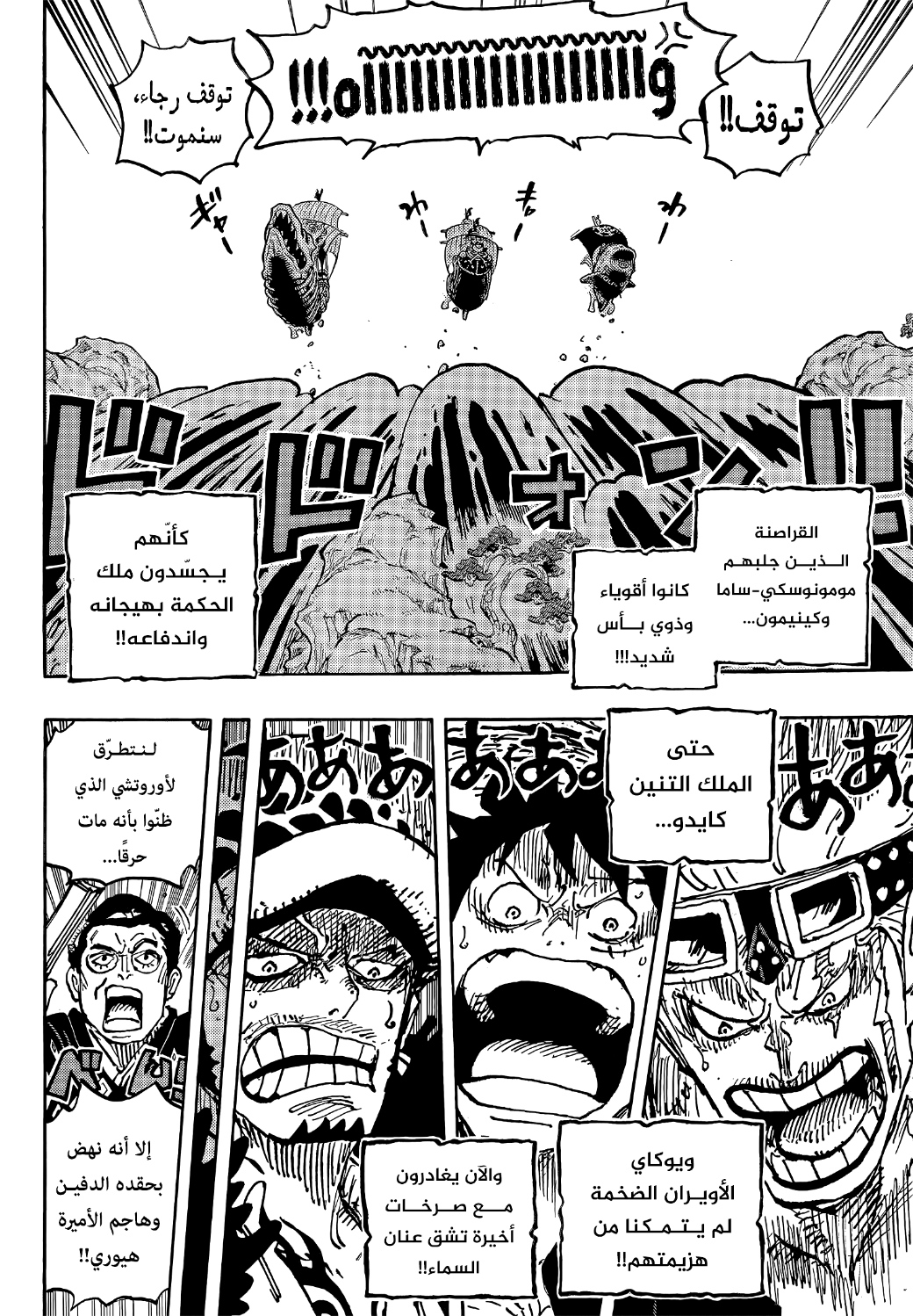 One Piece: Chapter 1057 - Page 13