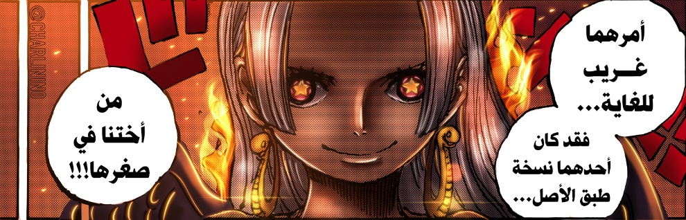 One Piece: Chapter 1059 - Page 21