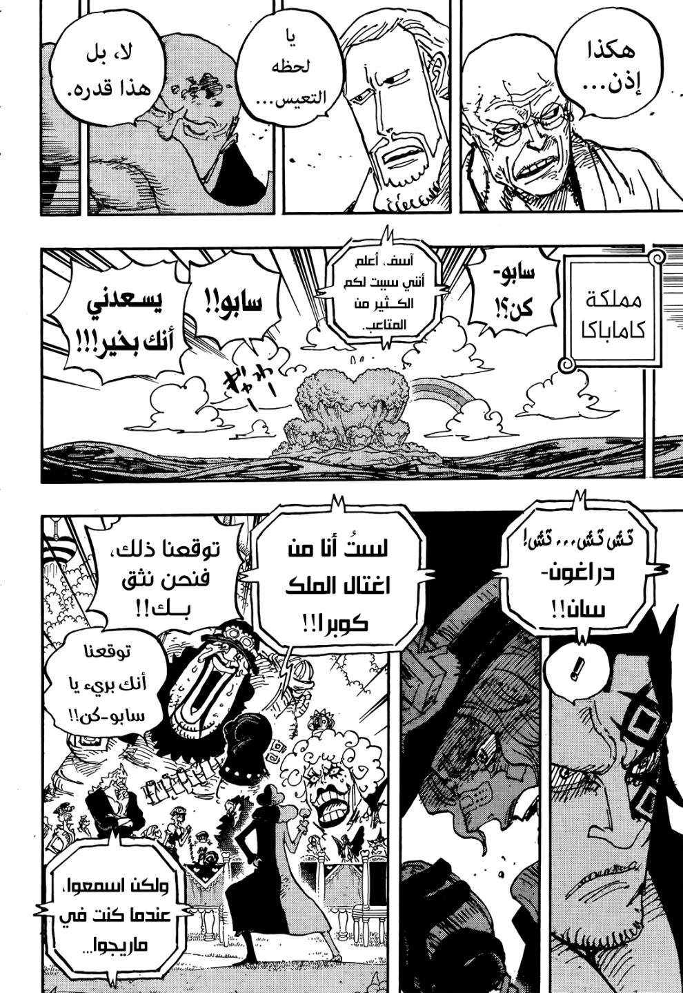 One Piece: Chapter 1060 - Page 11