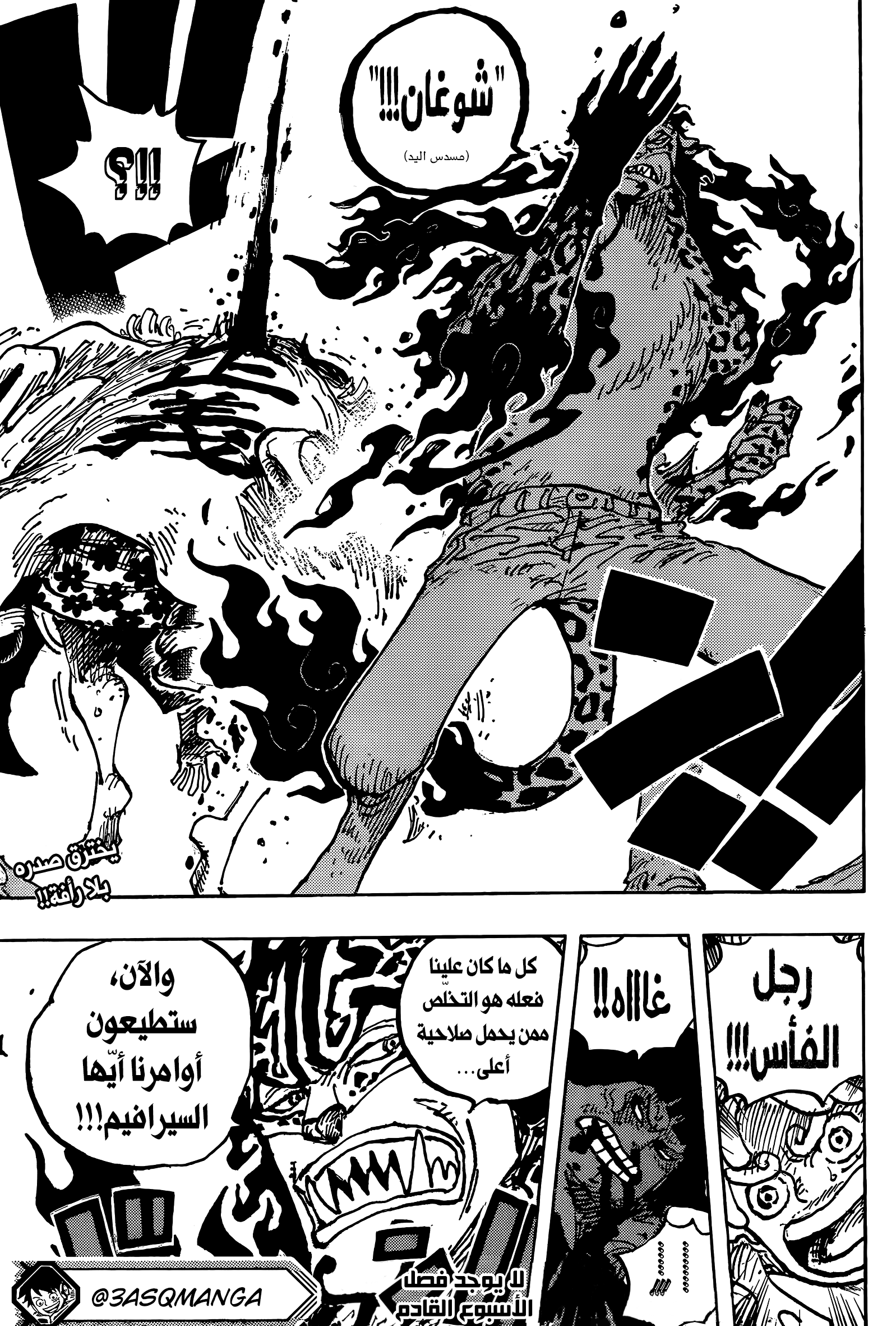 One Piece: Chapter 1069 - Page 14