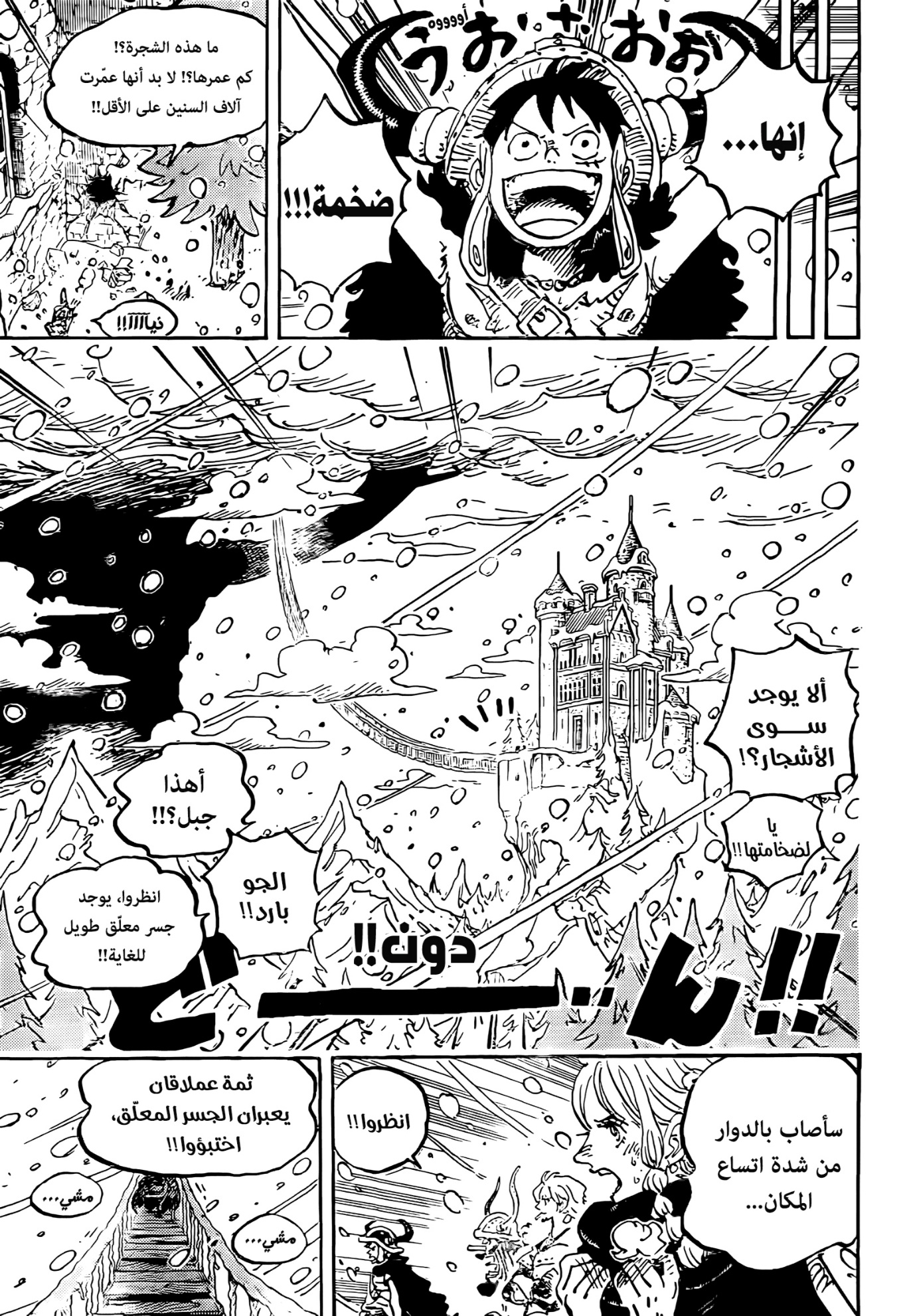 One Piece: Chapter 1130 - Page 3