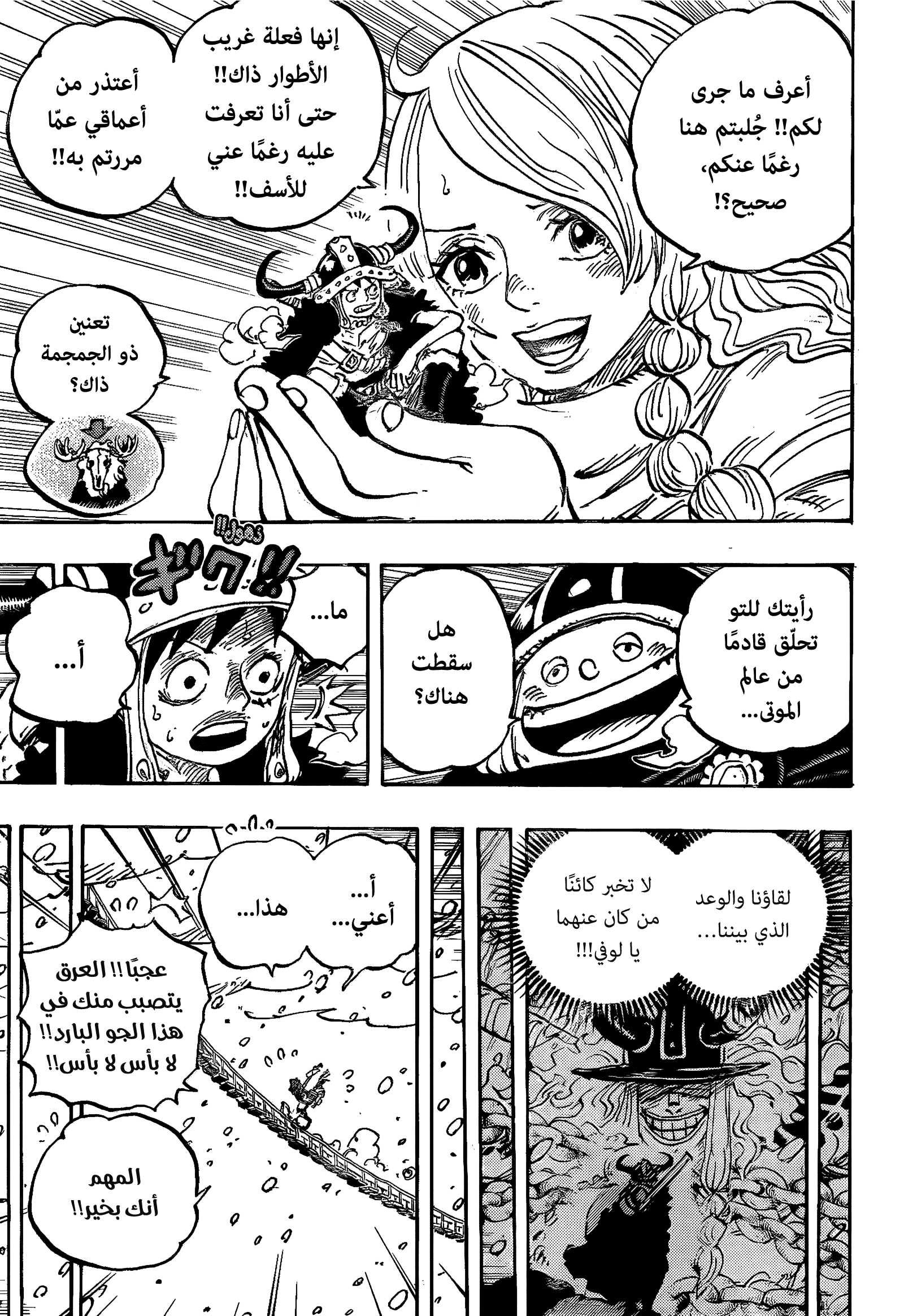 One Piece: Chapter 1132 - Page 8