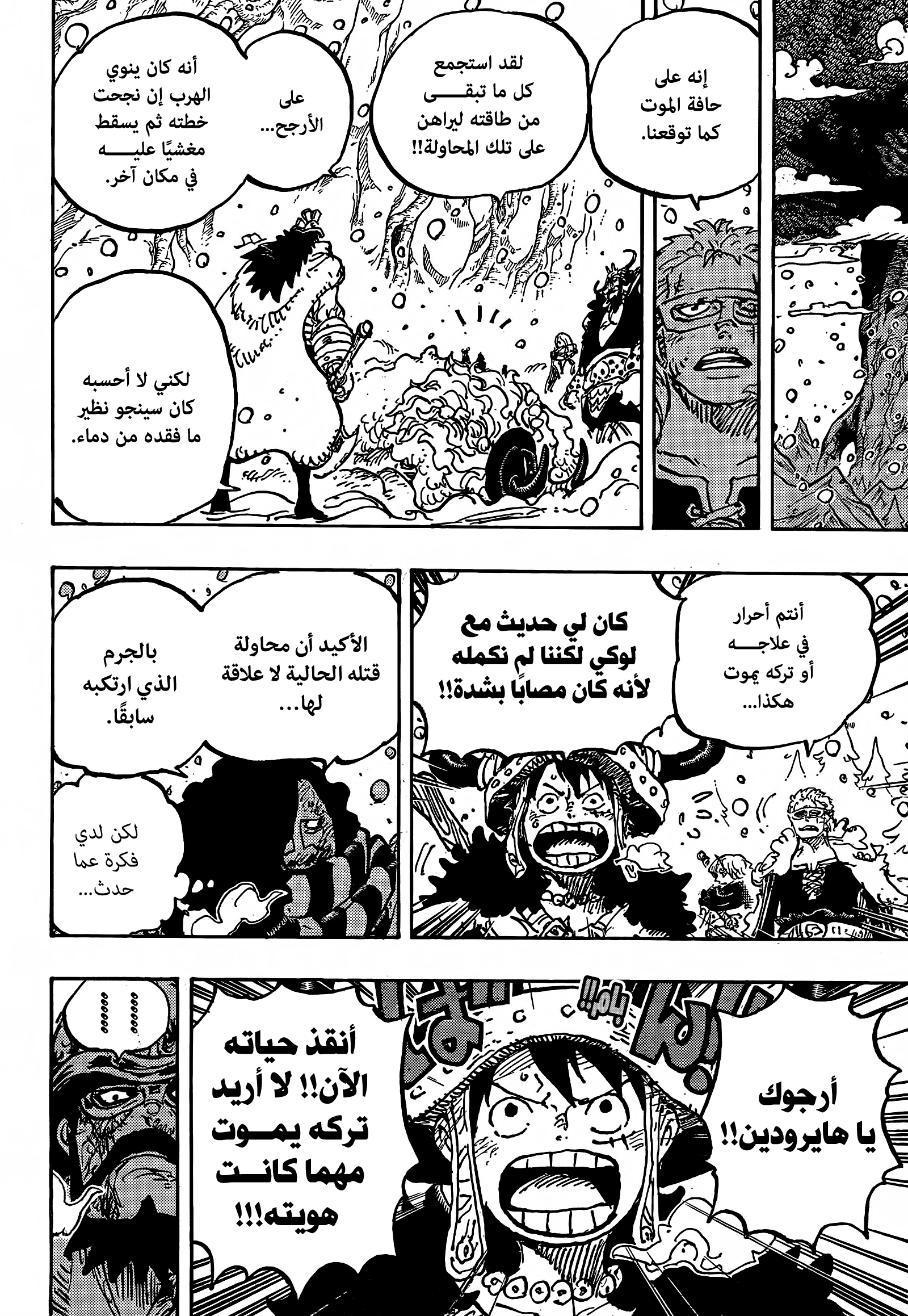 One Piece: Chapter 1143 - Page 14