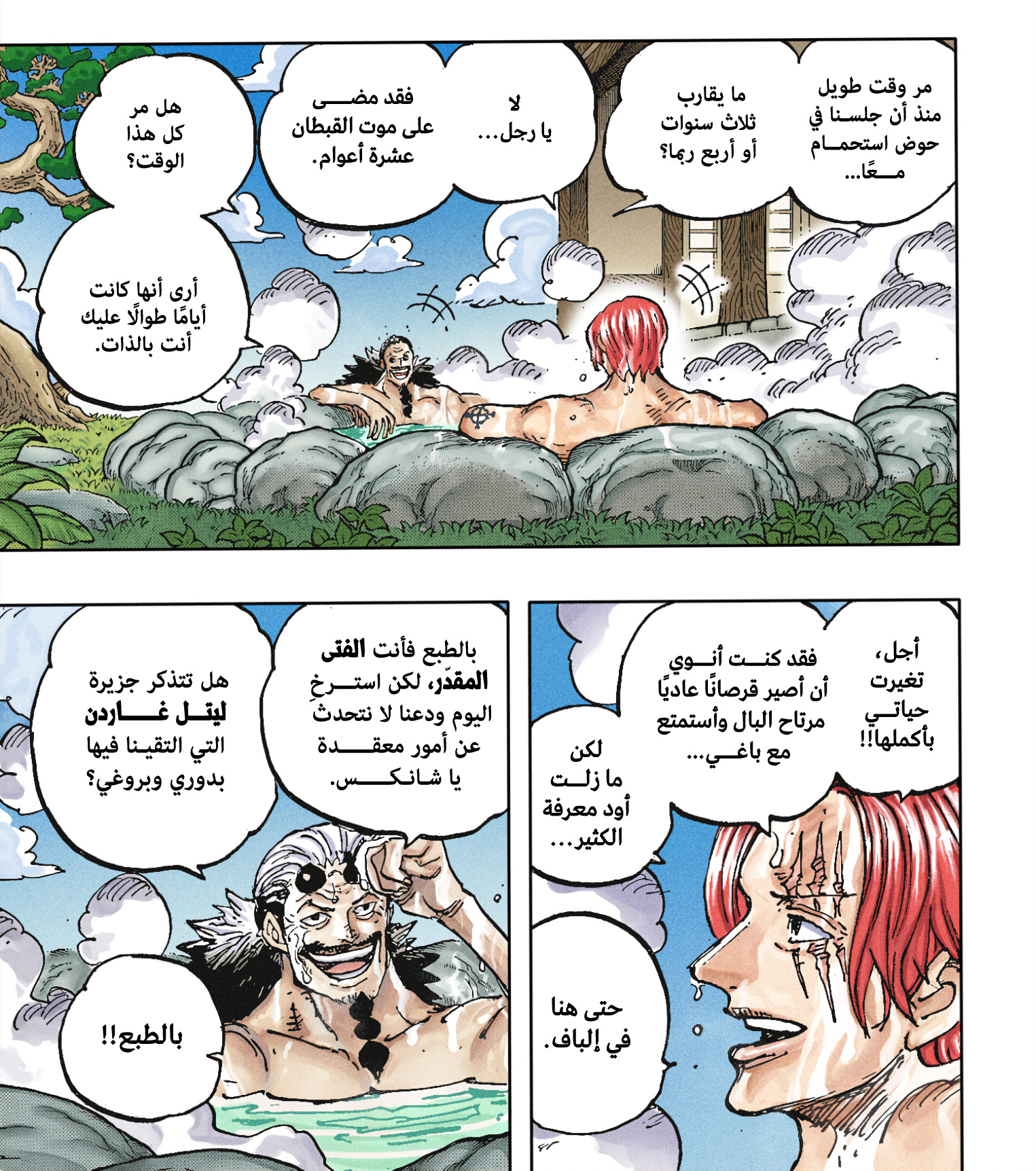 One Piece: Chapter 1152 - Page 16