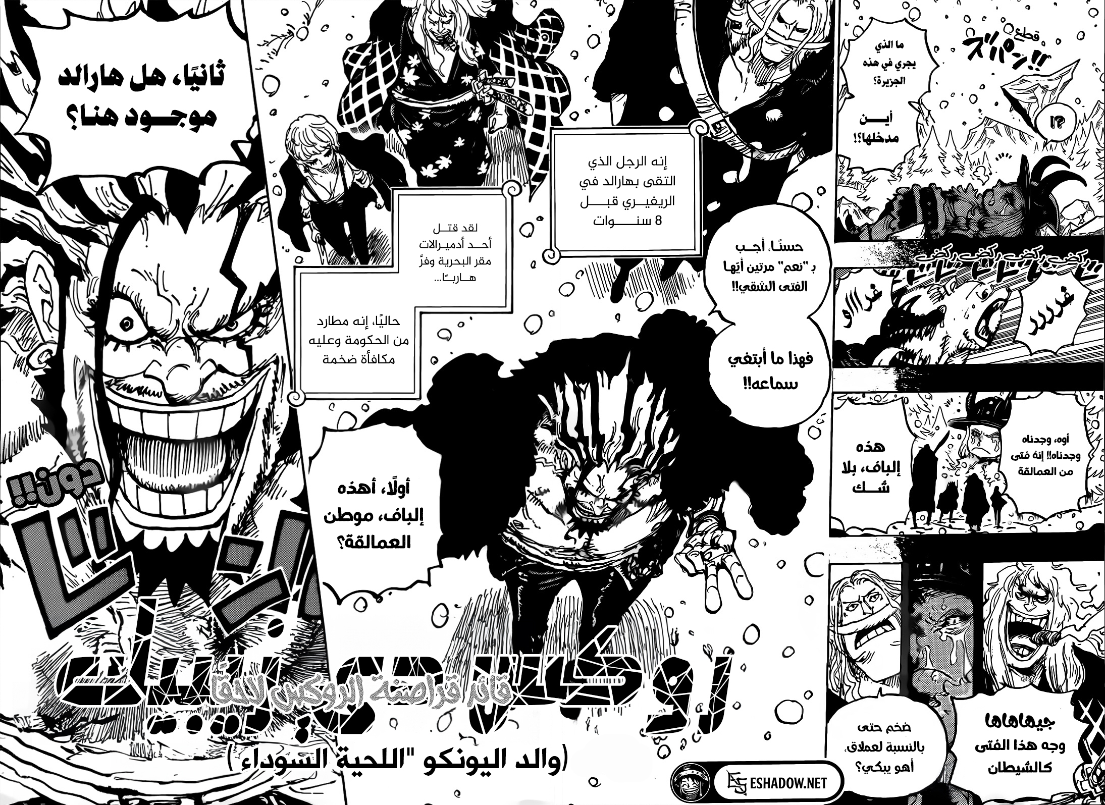 One Piece: Chapter 1154 - Page 14