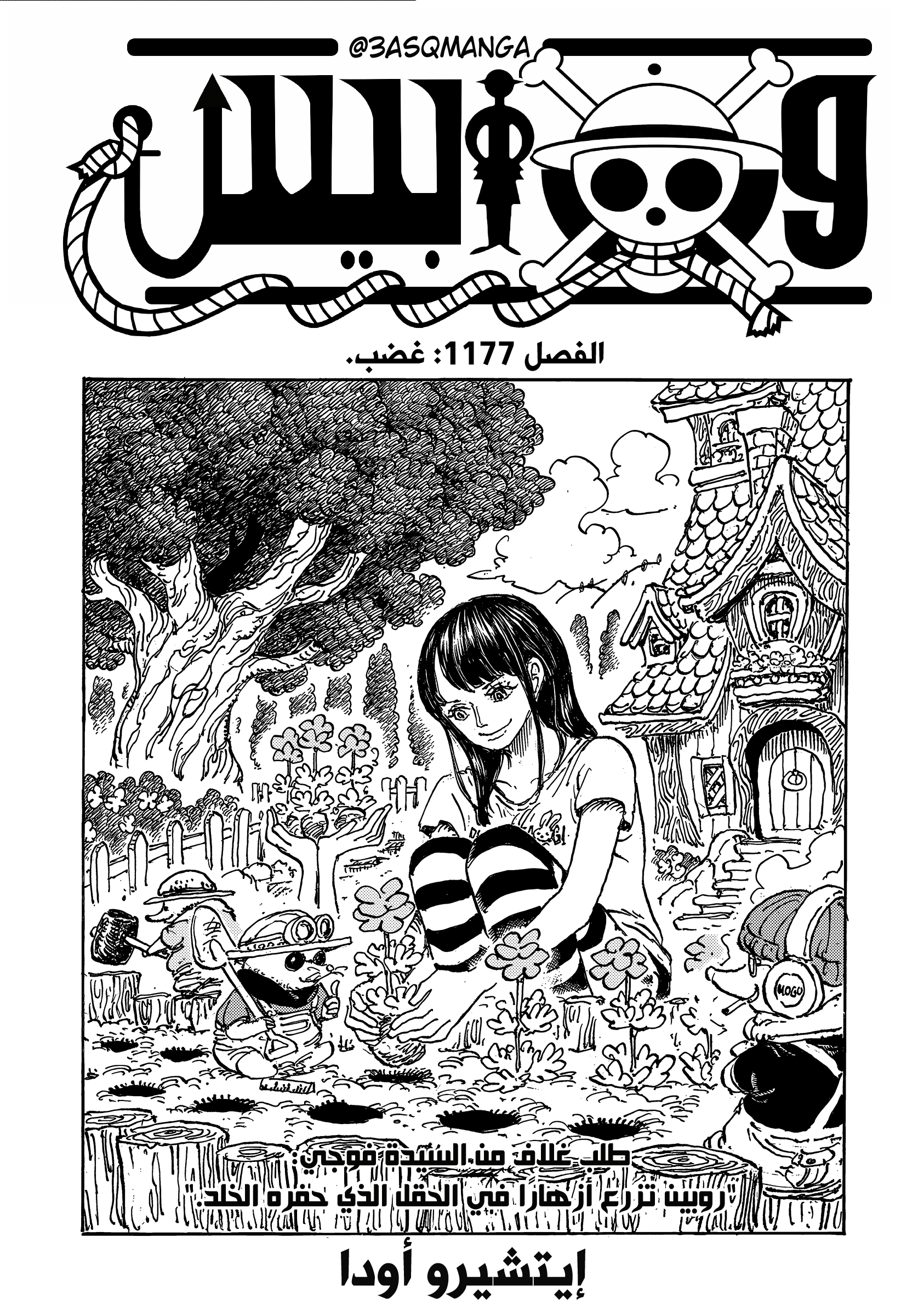 One Piece: Chapter 1177 - Page 1