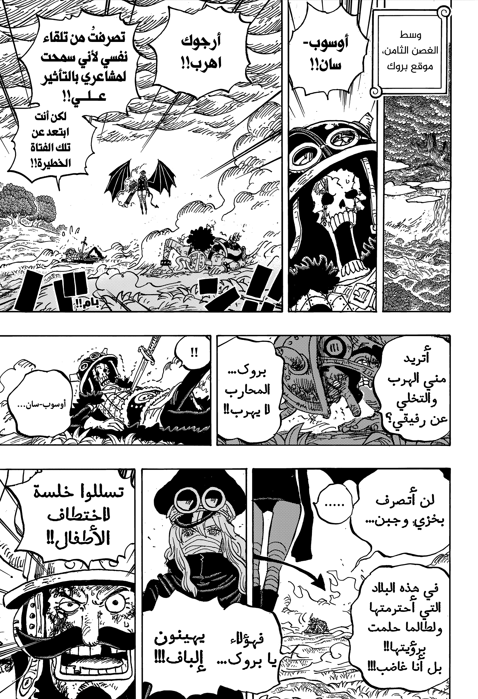 One Piece: Chapter 1177 - Page 13