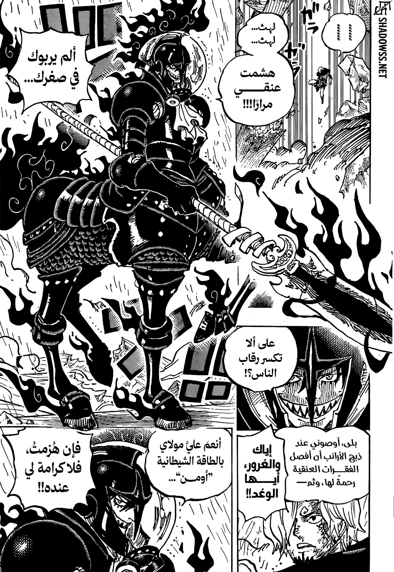 One Piece: Chapter 1197 - Page 11