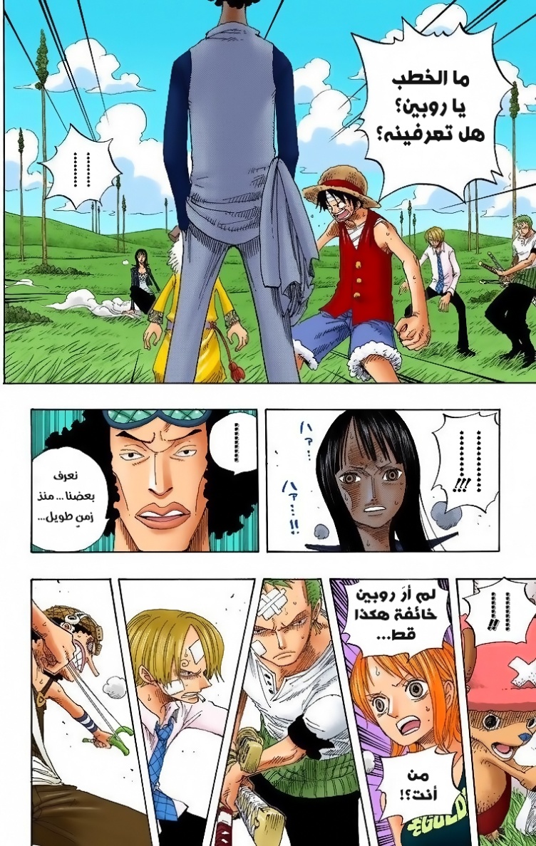 One Piece: Chapter 319 - Page 4