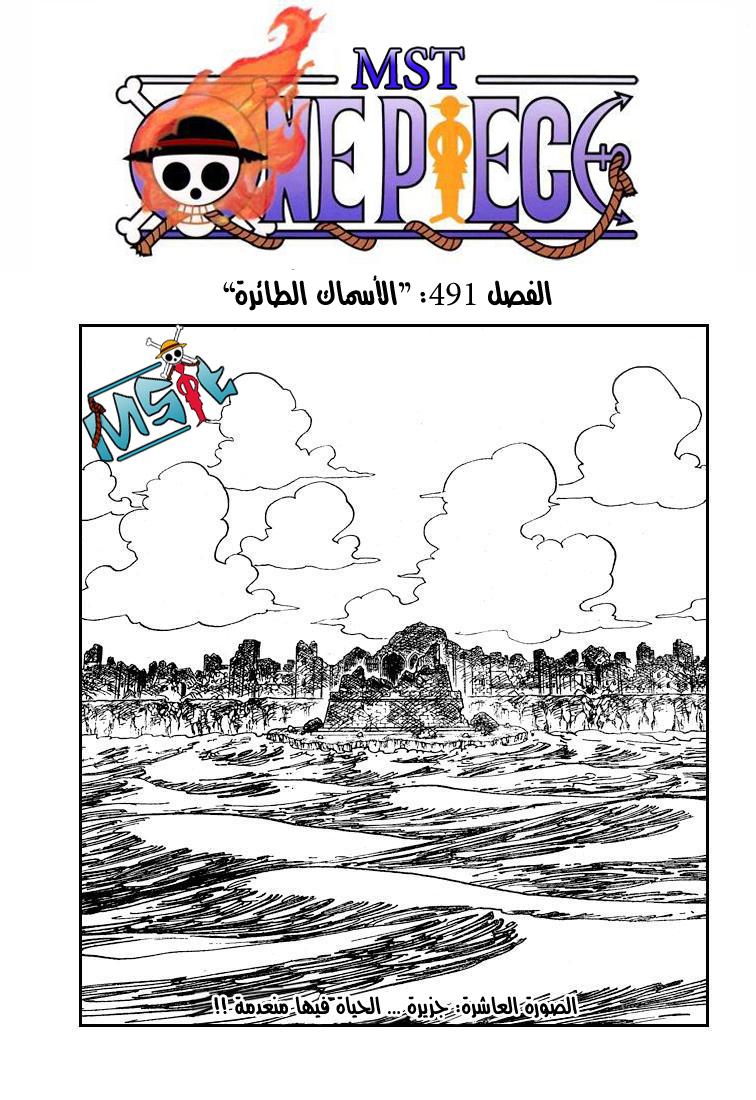 One Piece: Chapter 491 - Page 2