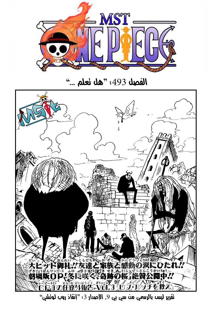 One Piece: Chapter 493 - Page 2