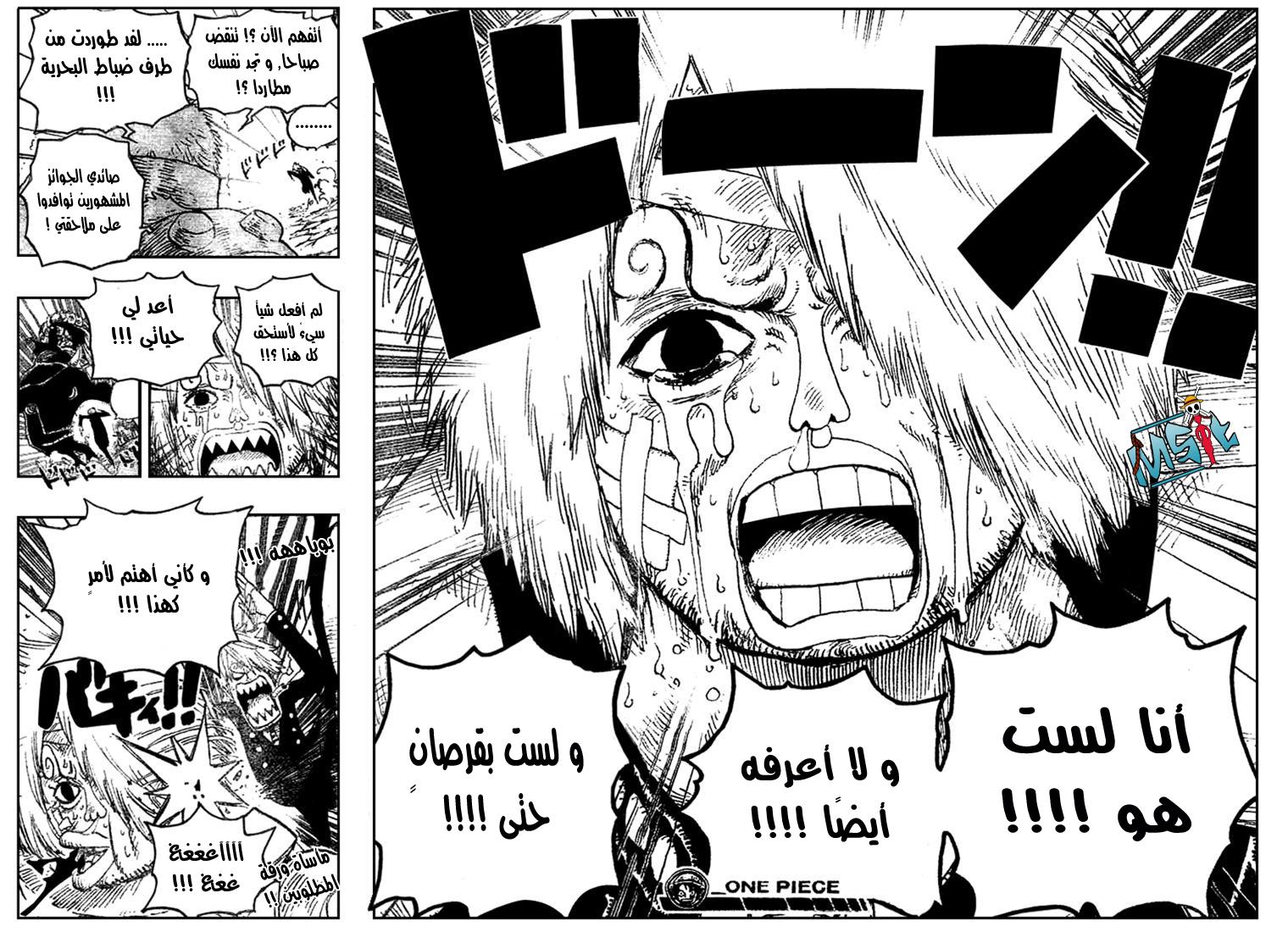 One Piece: Chapter 494 - Page 19