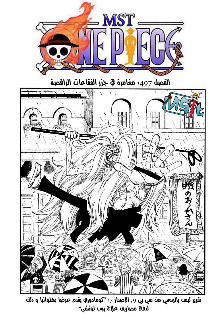 One Piece: Chapter 497 - Page 1