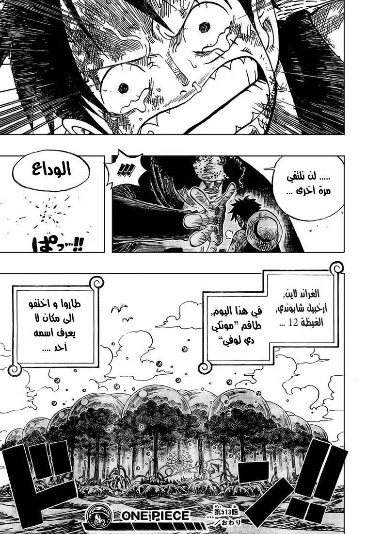 One Piece: Chapter 513 - Page 19