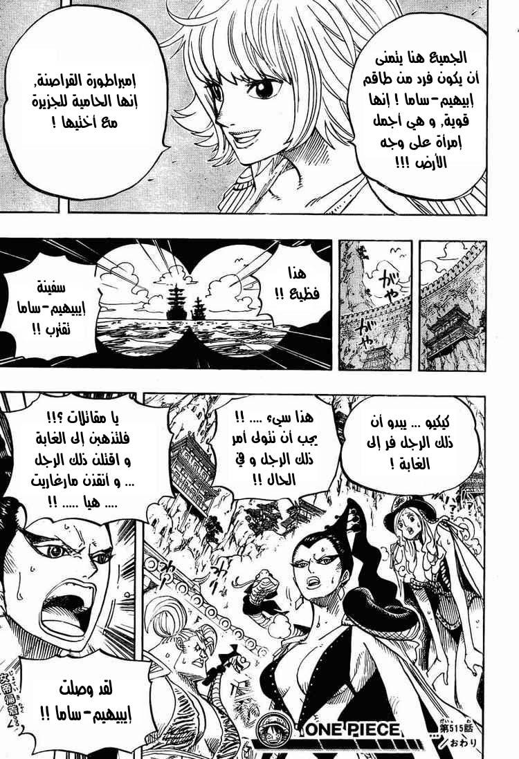 One Piece: Chapter 515 - Page 19