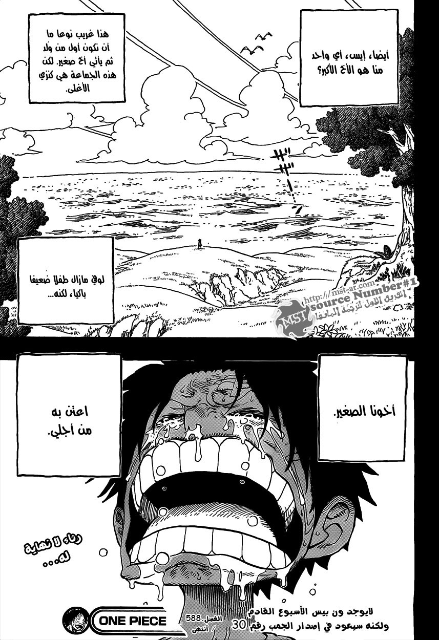 One Piece: Chapter 588 - Page 19