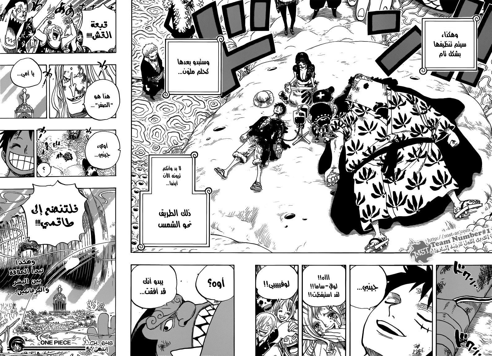 One Piece: Chapter 648 - Page 18
