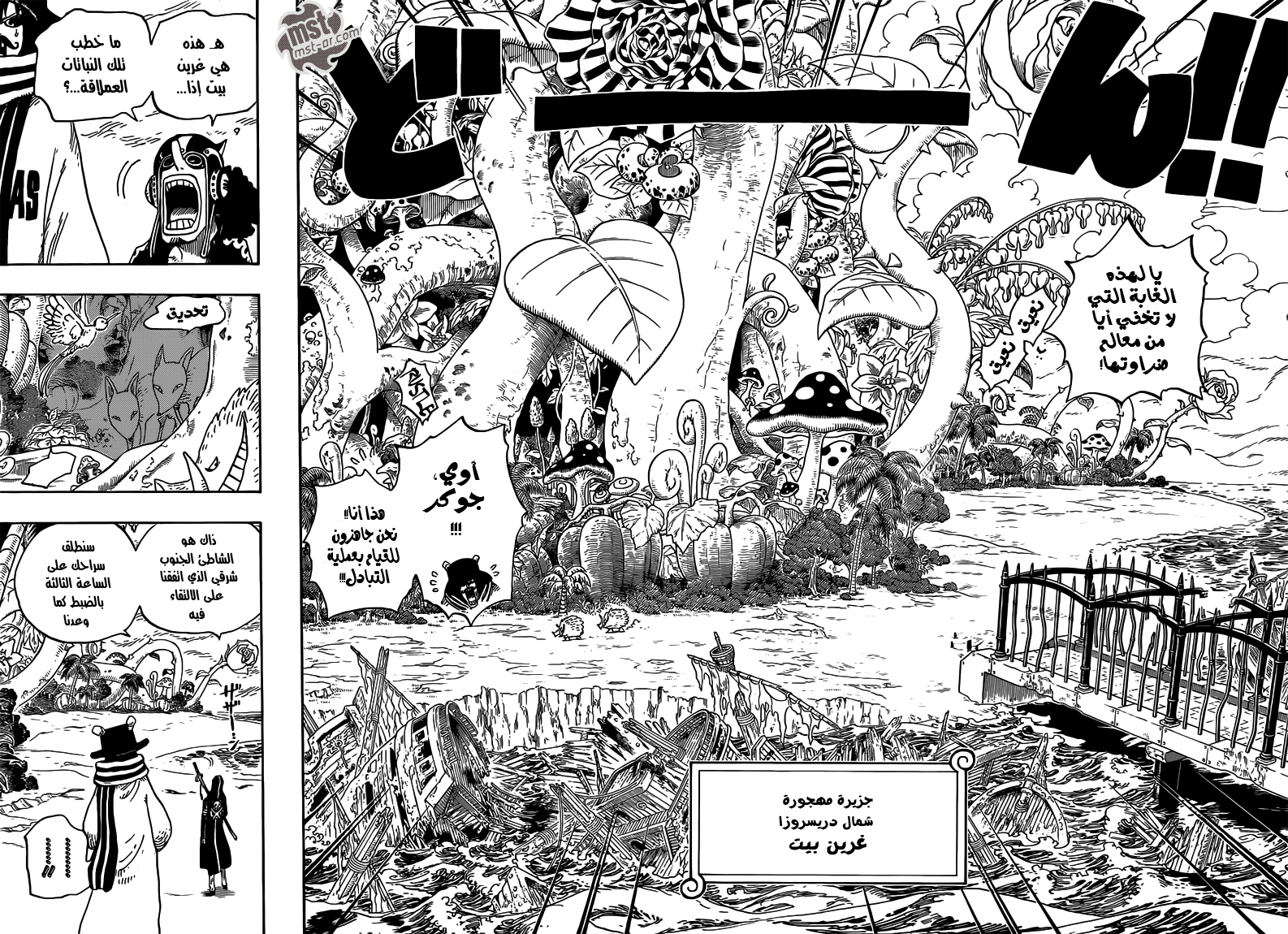 One Piece: Chapter 710 - Page 13