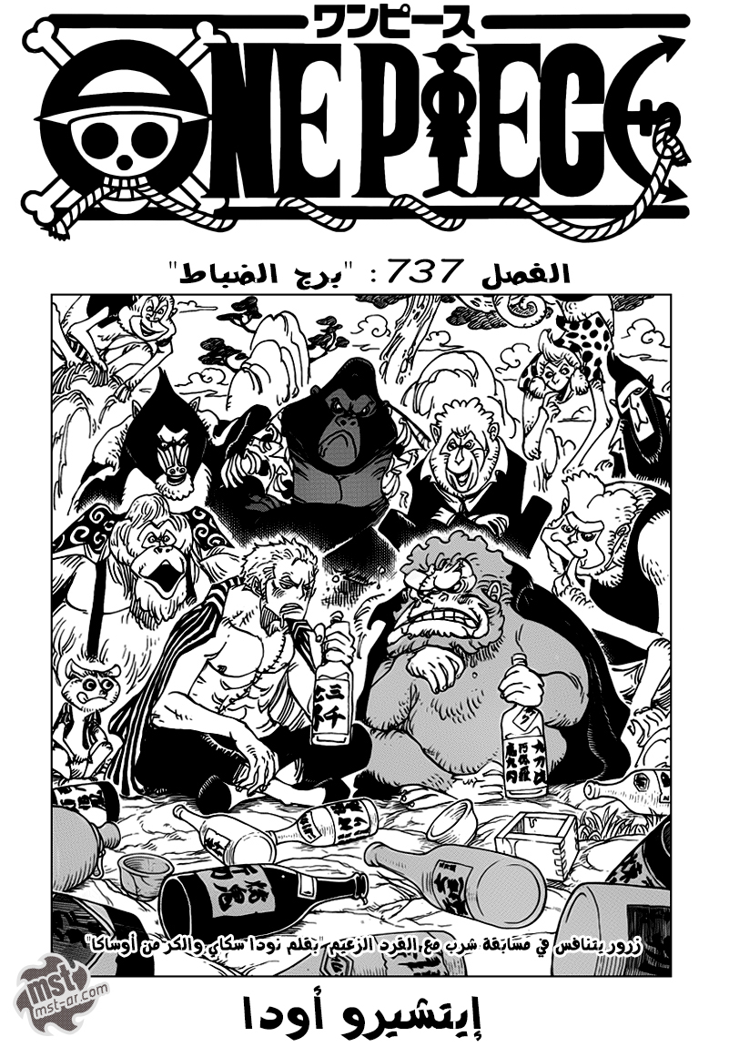 One Piece: Chapter 737 - Page 2