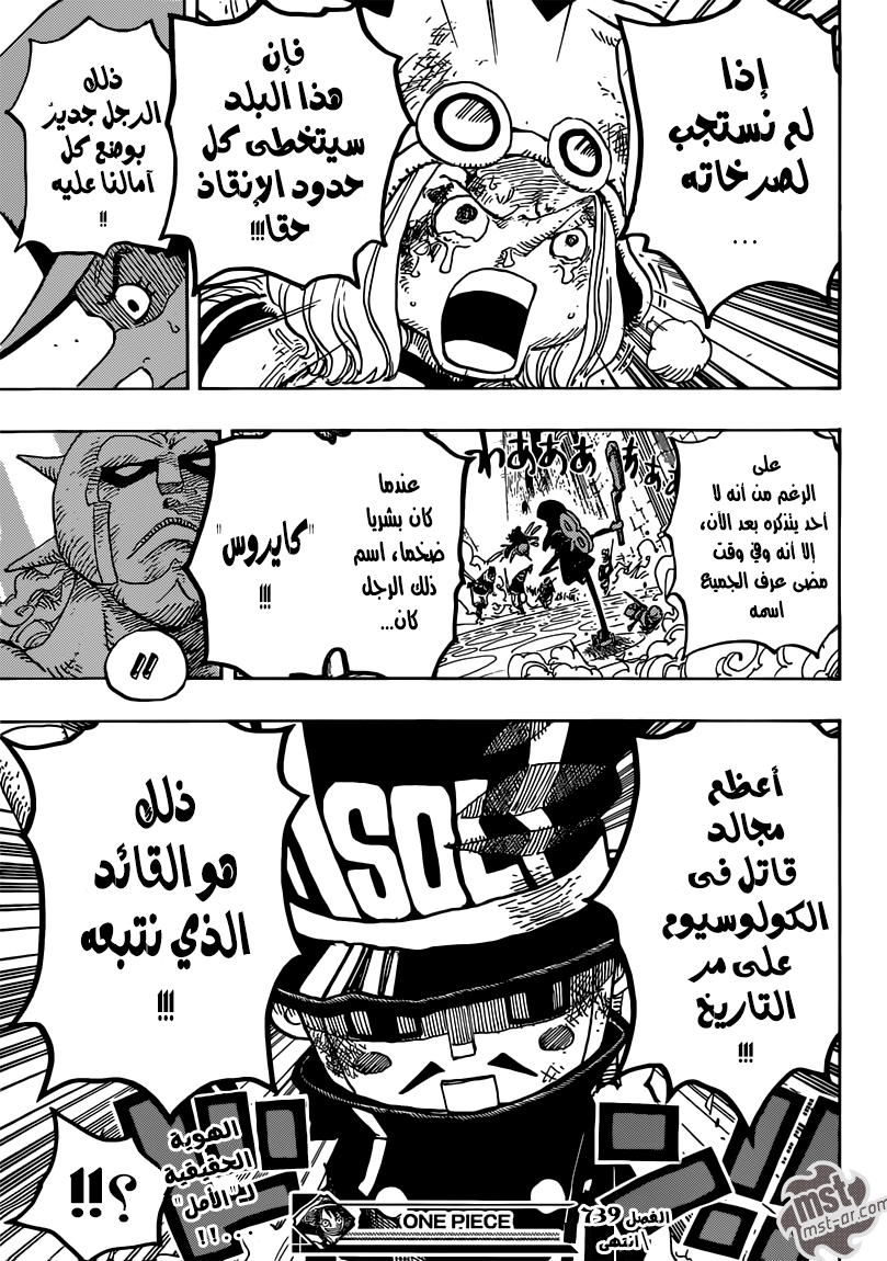 One Piece: Chapter 739 - Page 20