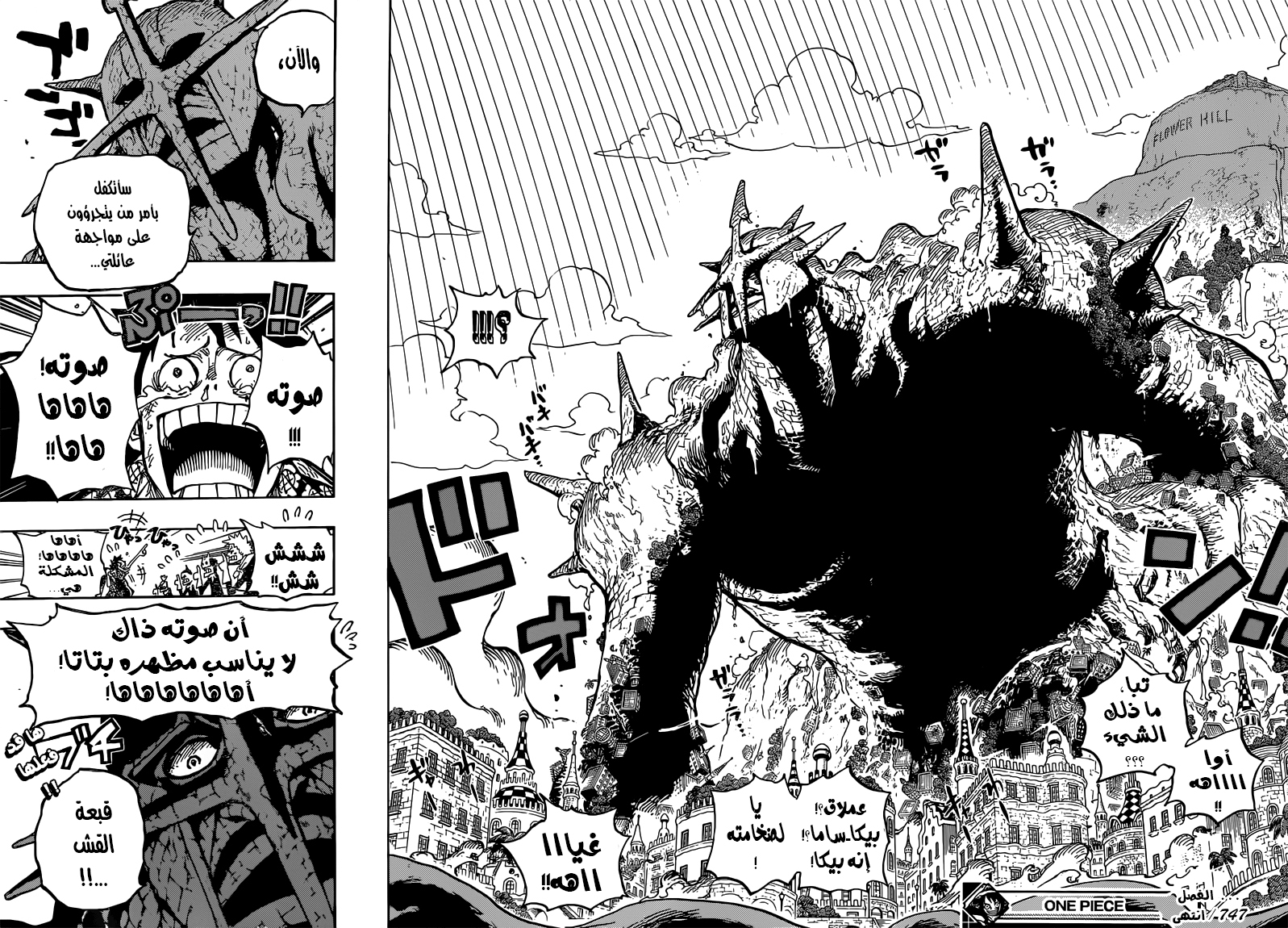 One Piece: Chapter 747 - Page 18