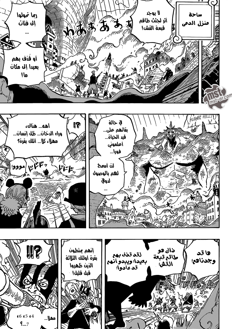One Piece: Chapter 748 - Page 13