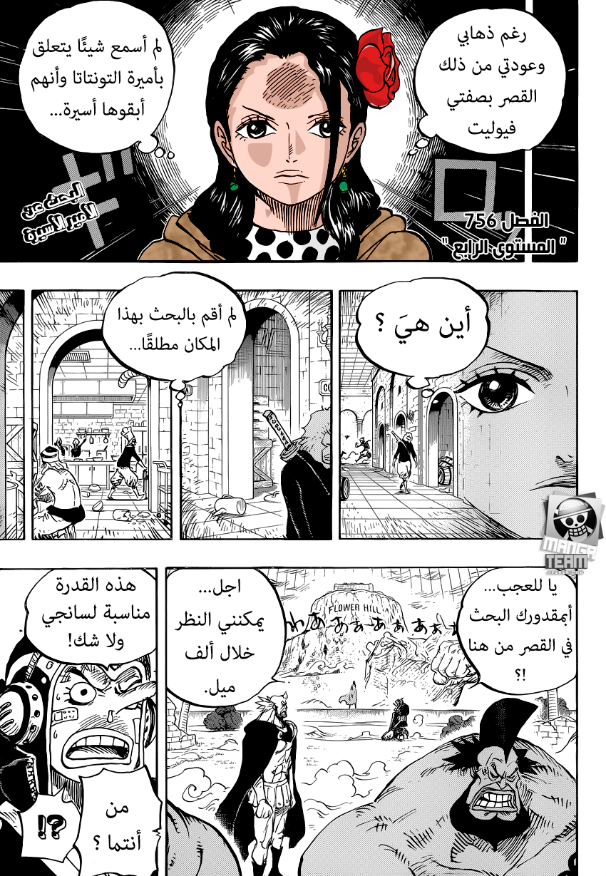 One Piece: Chapter 756 - Page 3