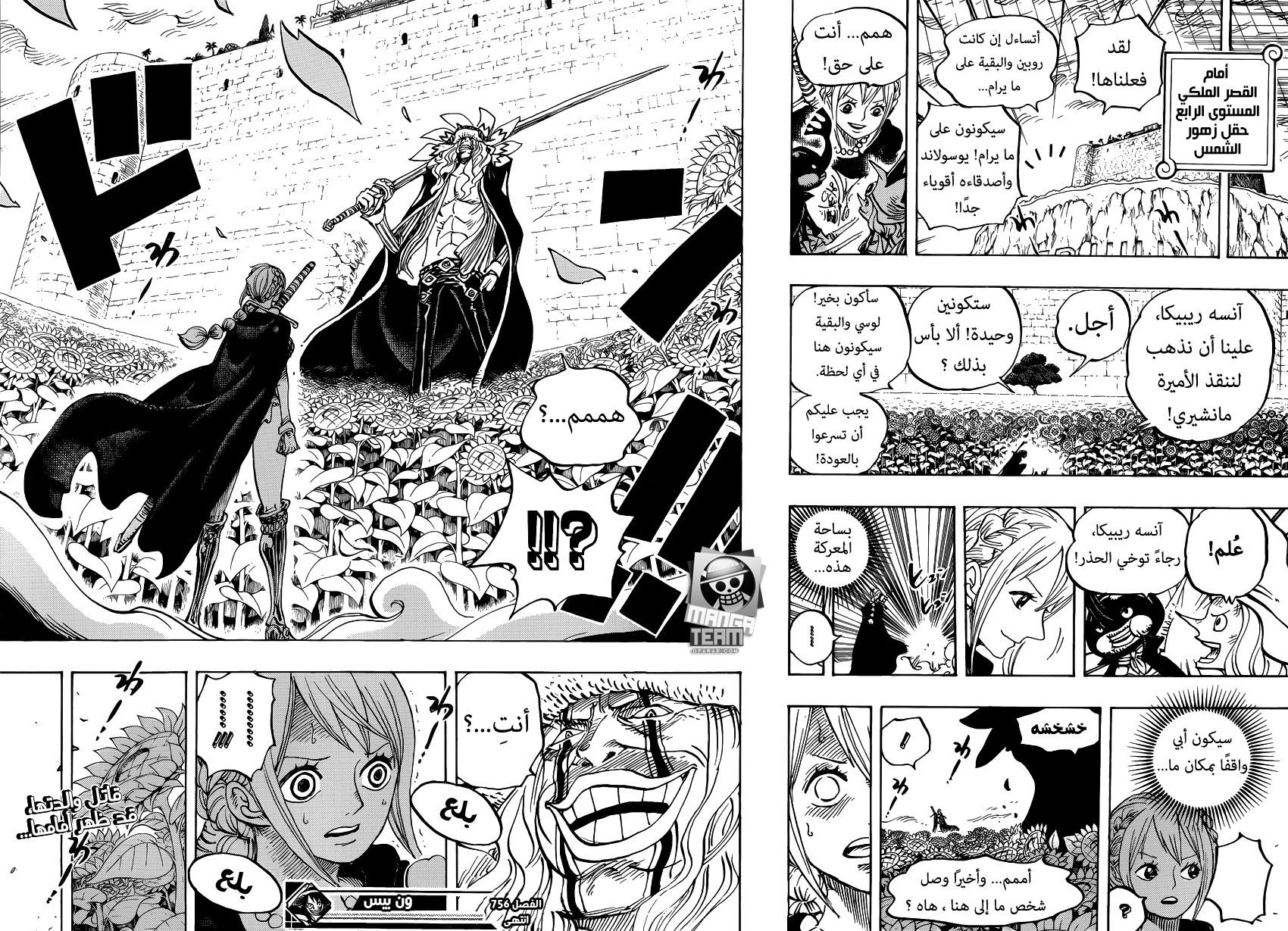 One Piece: Chapter 756 - Page 18