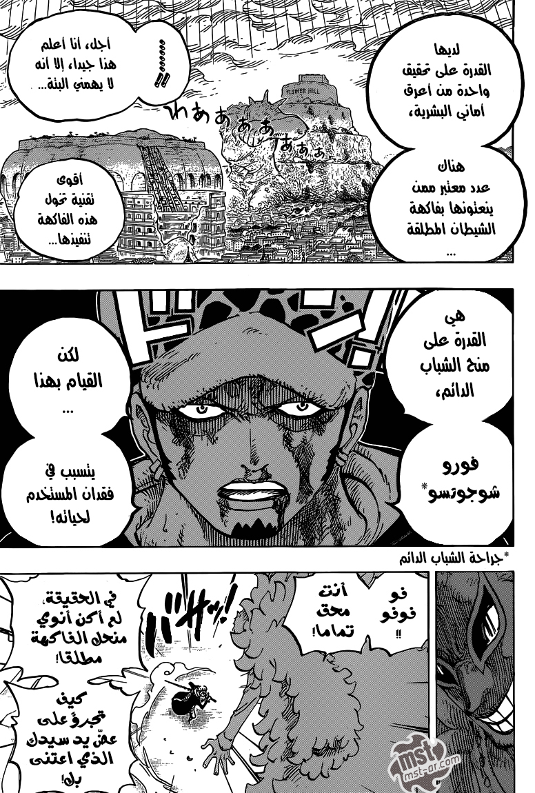 One Piece: Chapter 761 - Page 10