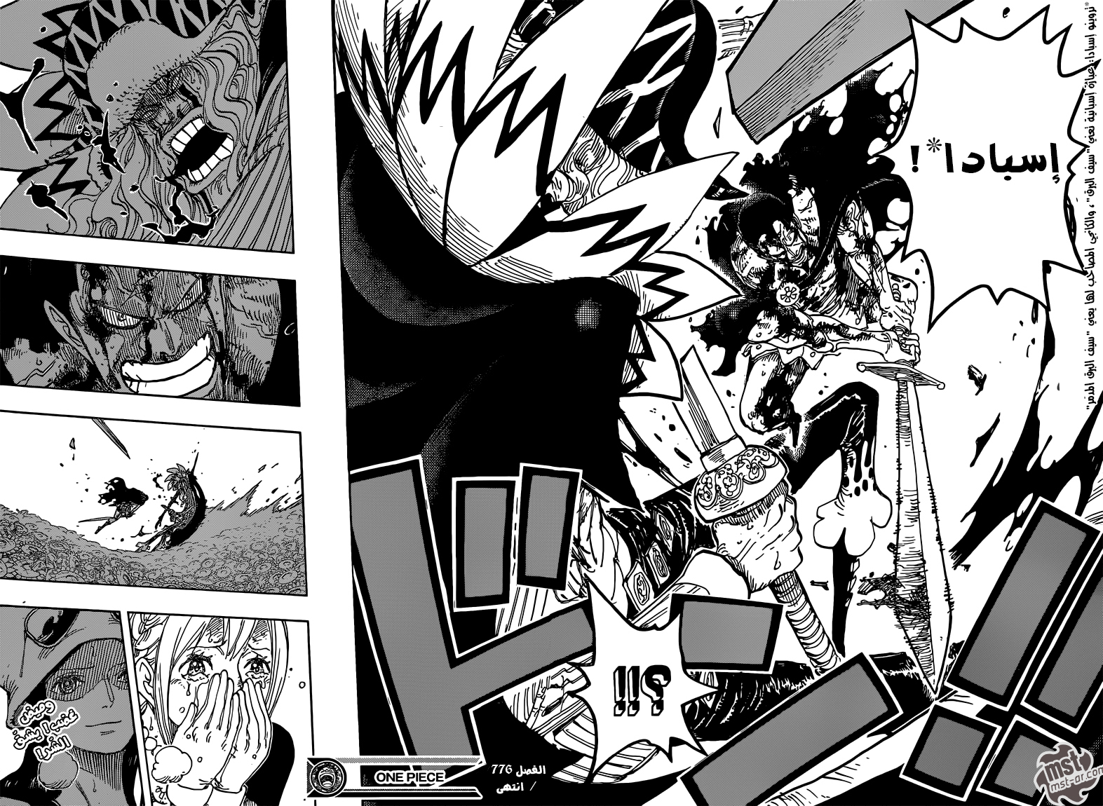 One Piece: Chapter 776 - Page 18