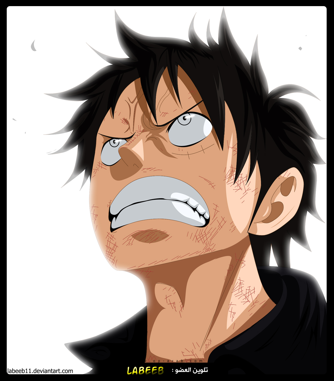 One Piece: Chapter 782 - Page 3