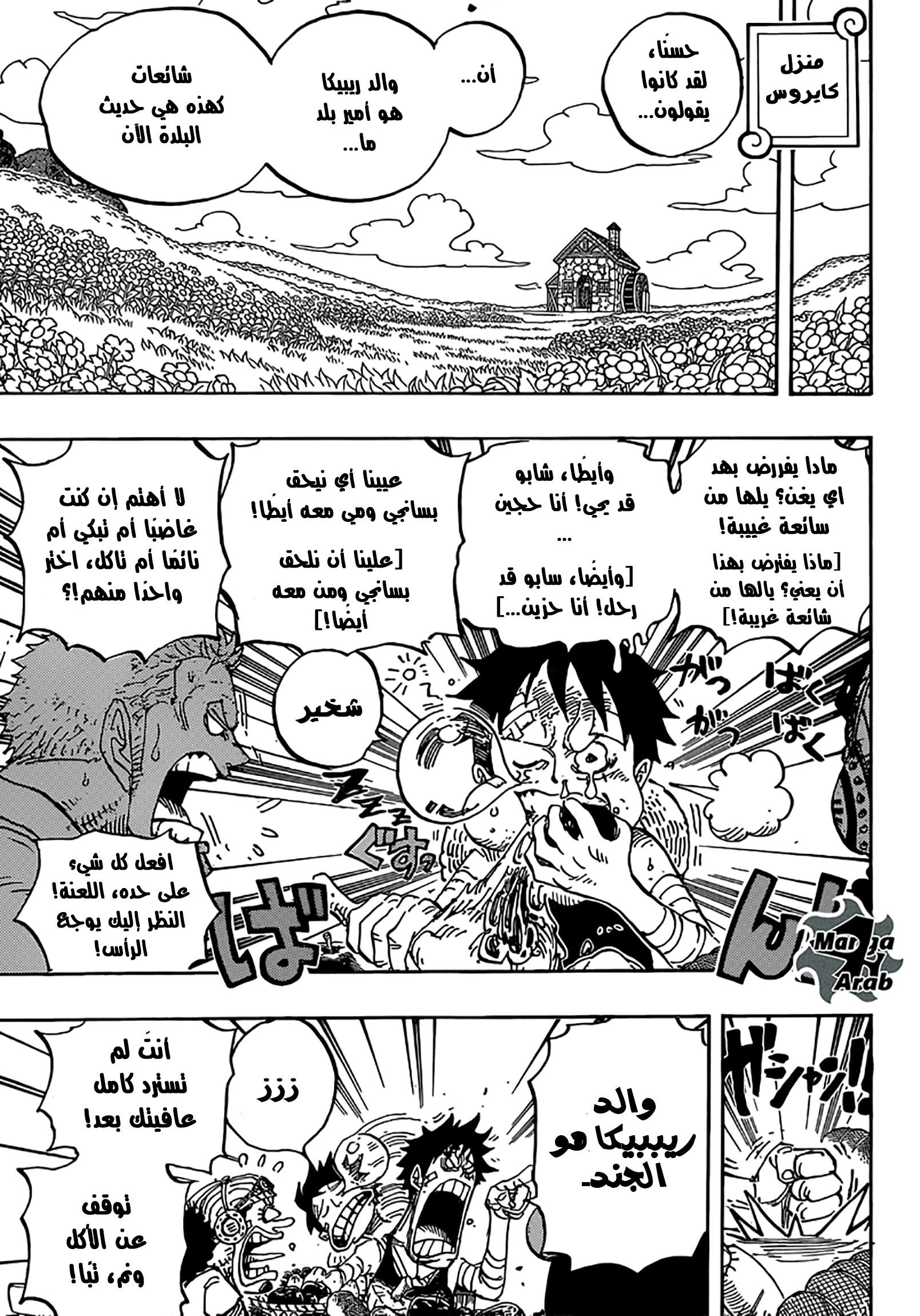 One Piece: Chapter 796 - Page 11