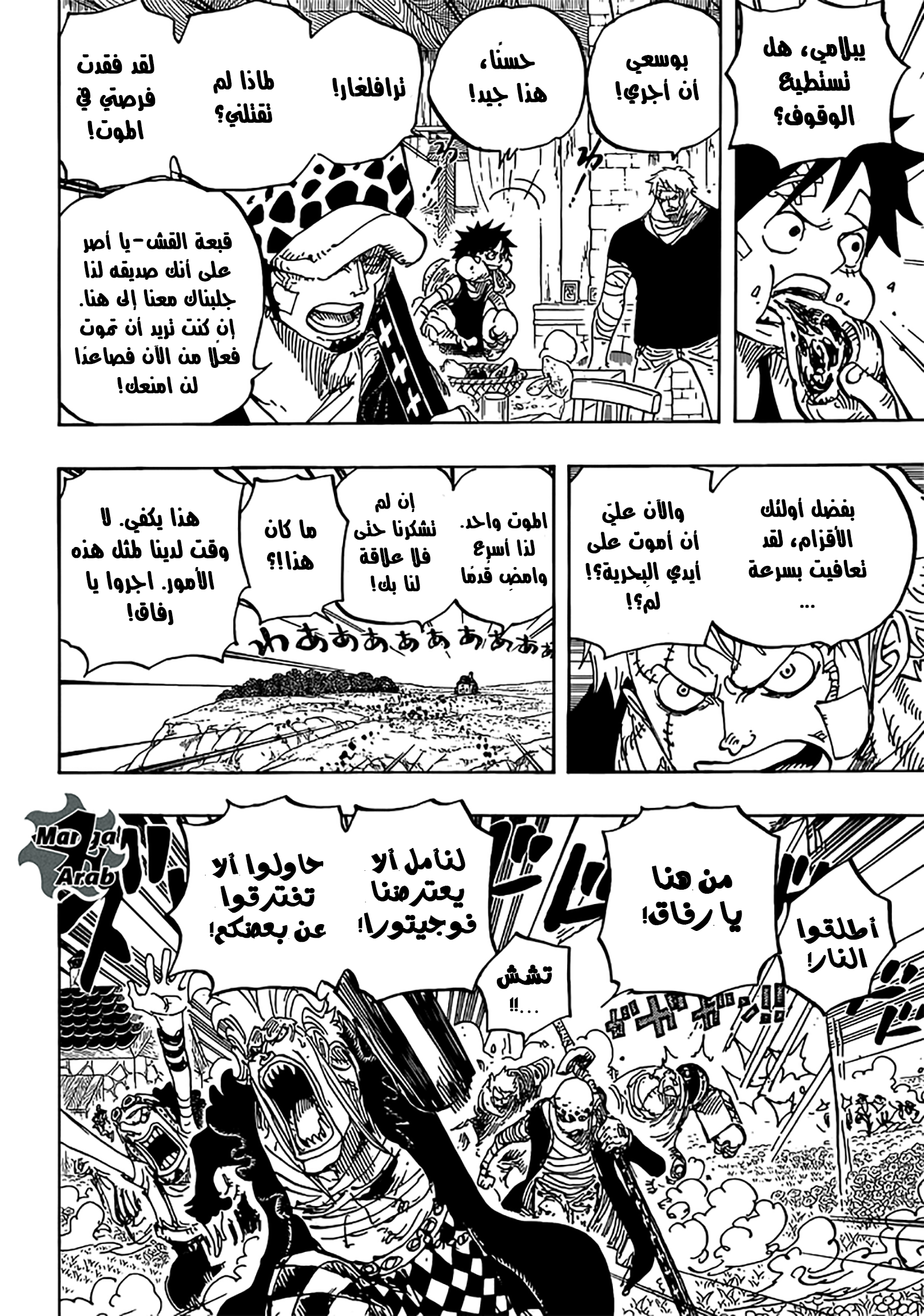 One Piece: Chapter 796 - Page 18