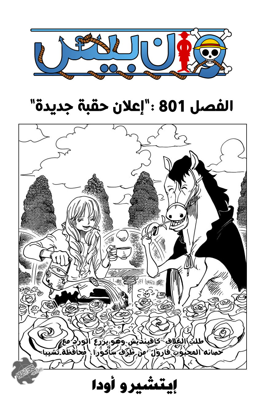 One Piece: Chapter 801 - Page 1