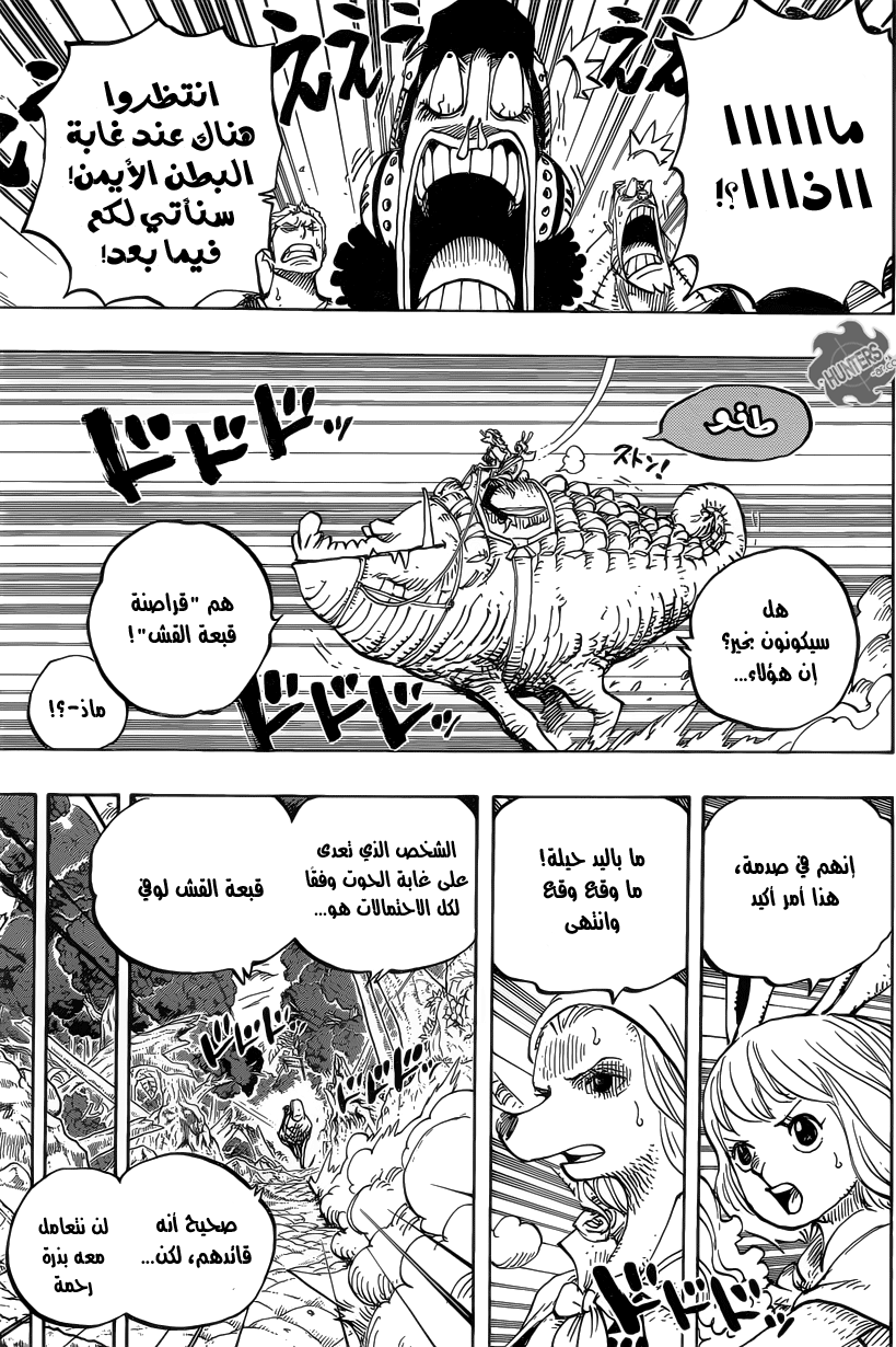 One Piece: Chapter 805 - Page 5